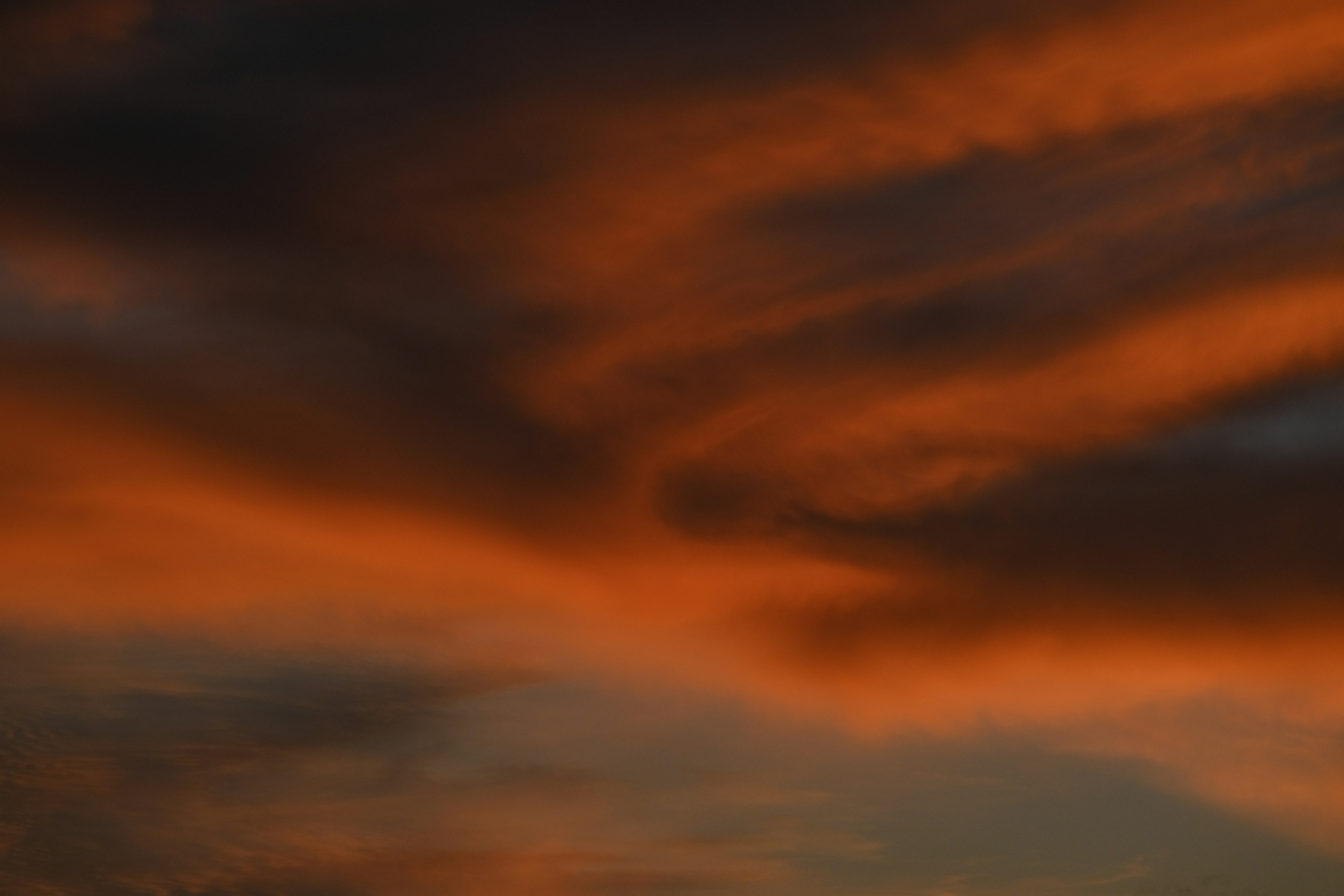 Photo by francesco_ungaro