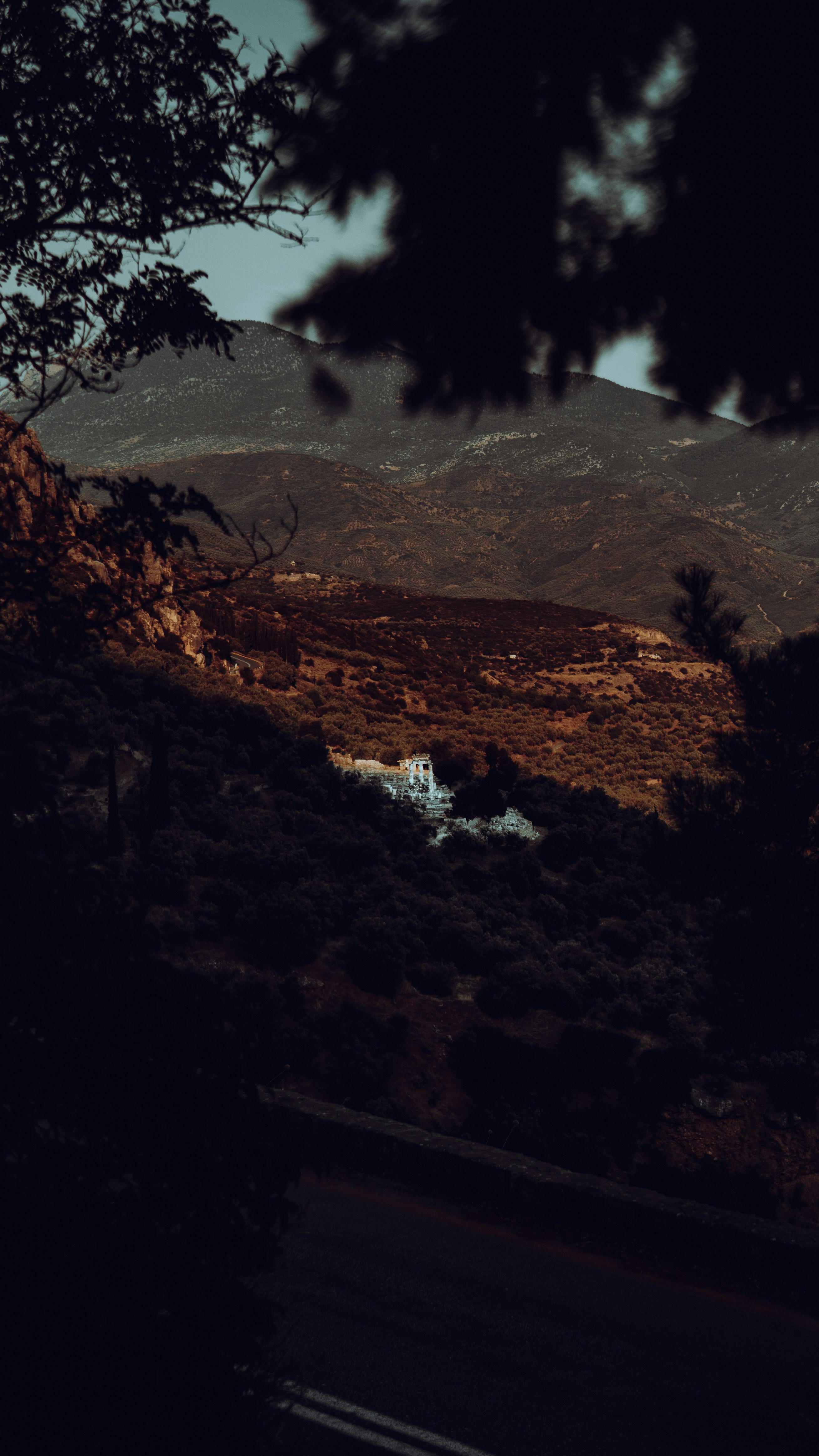 Photo by renaldo97