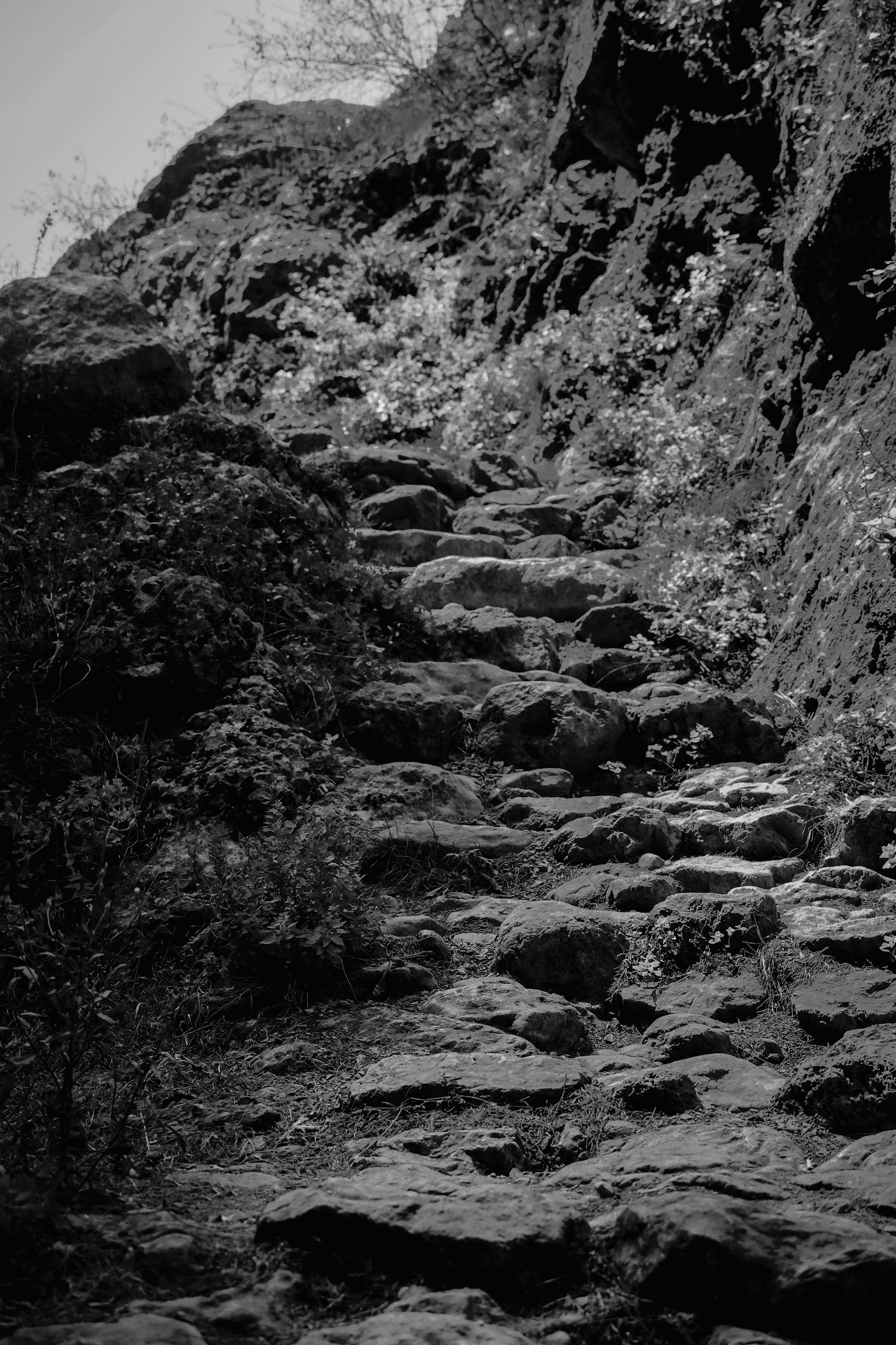 Photo by zrngngharib