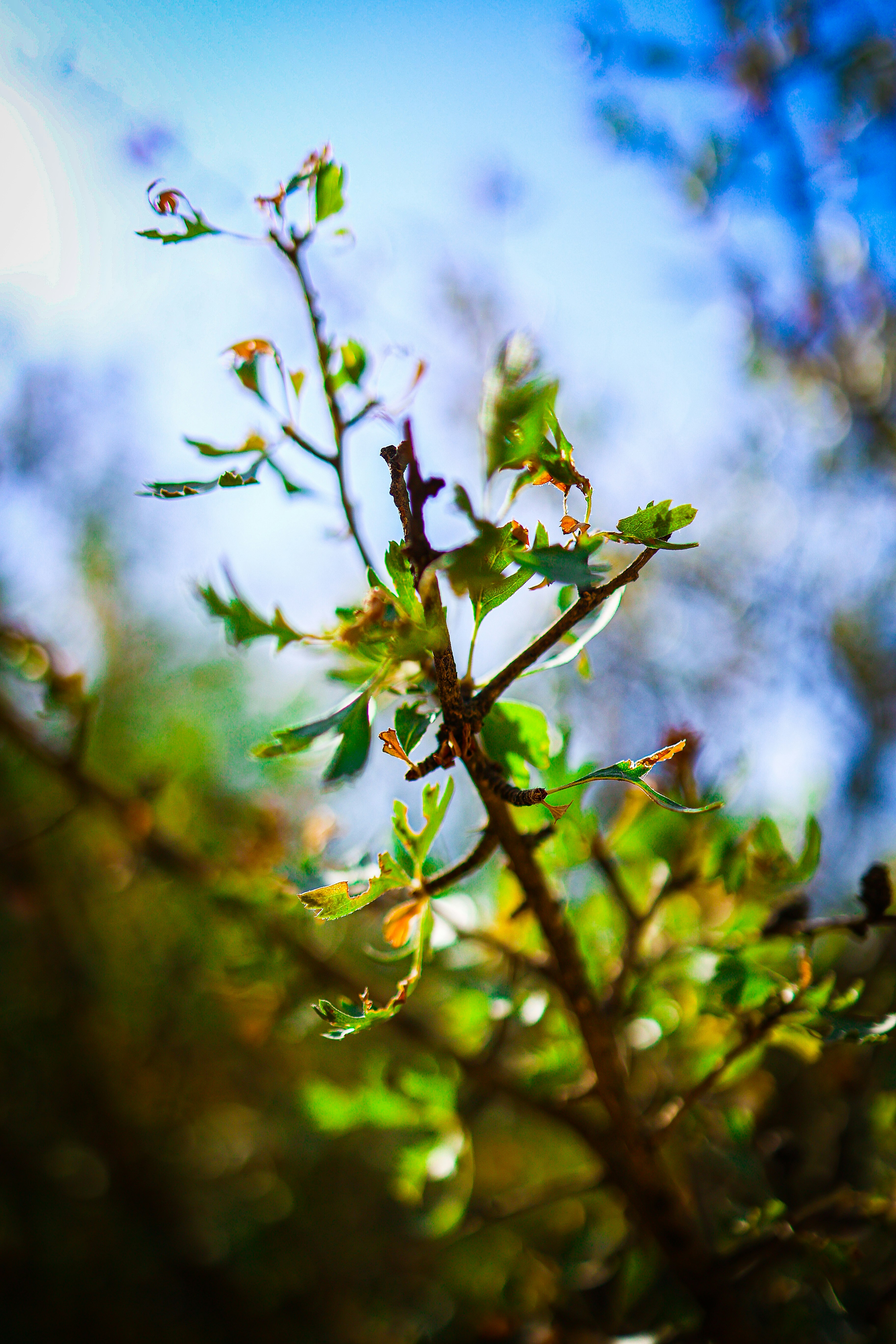 Photo by zrngngharib