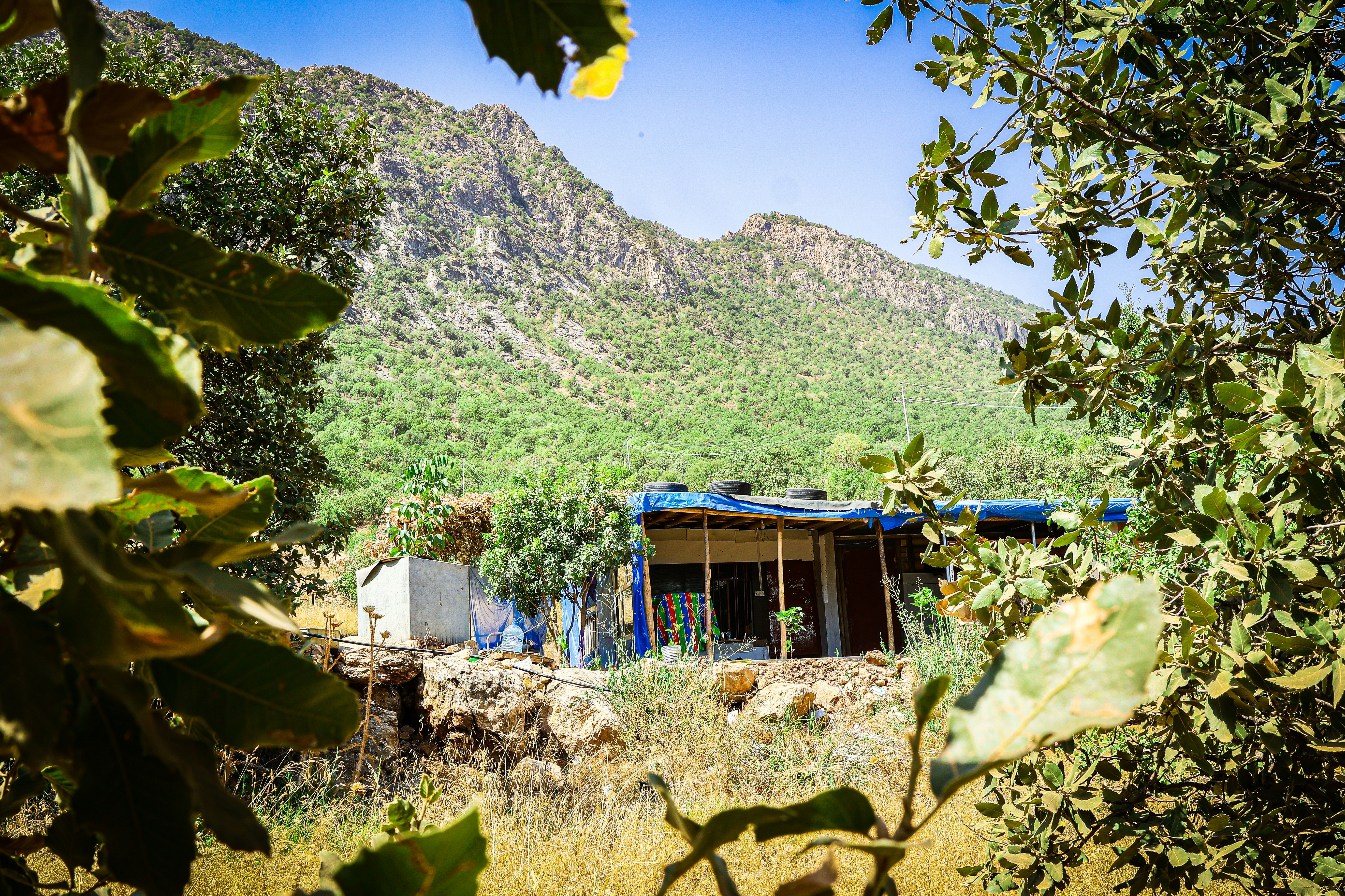 Photo by zrngngharib