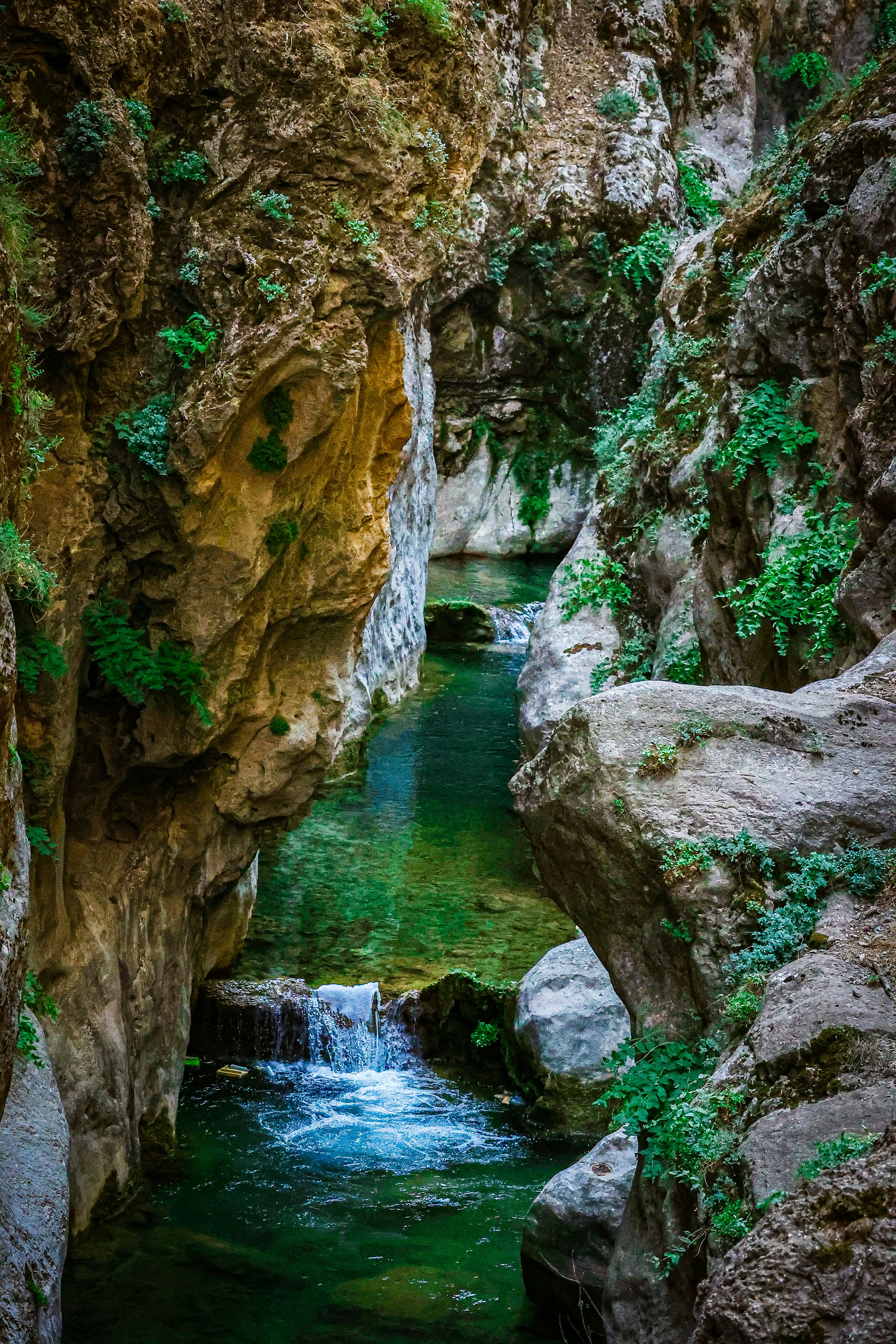 Photo by zrngngharib