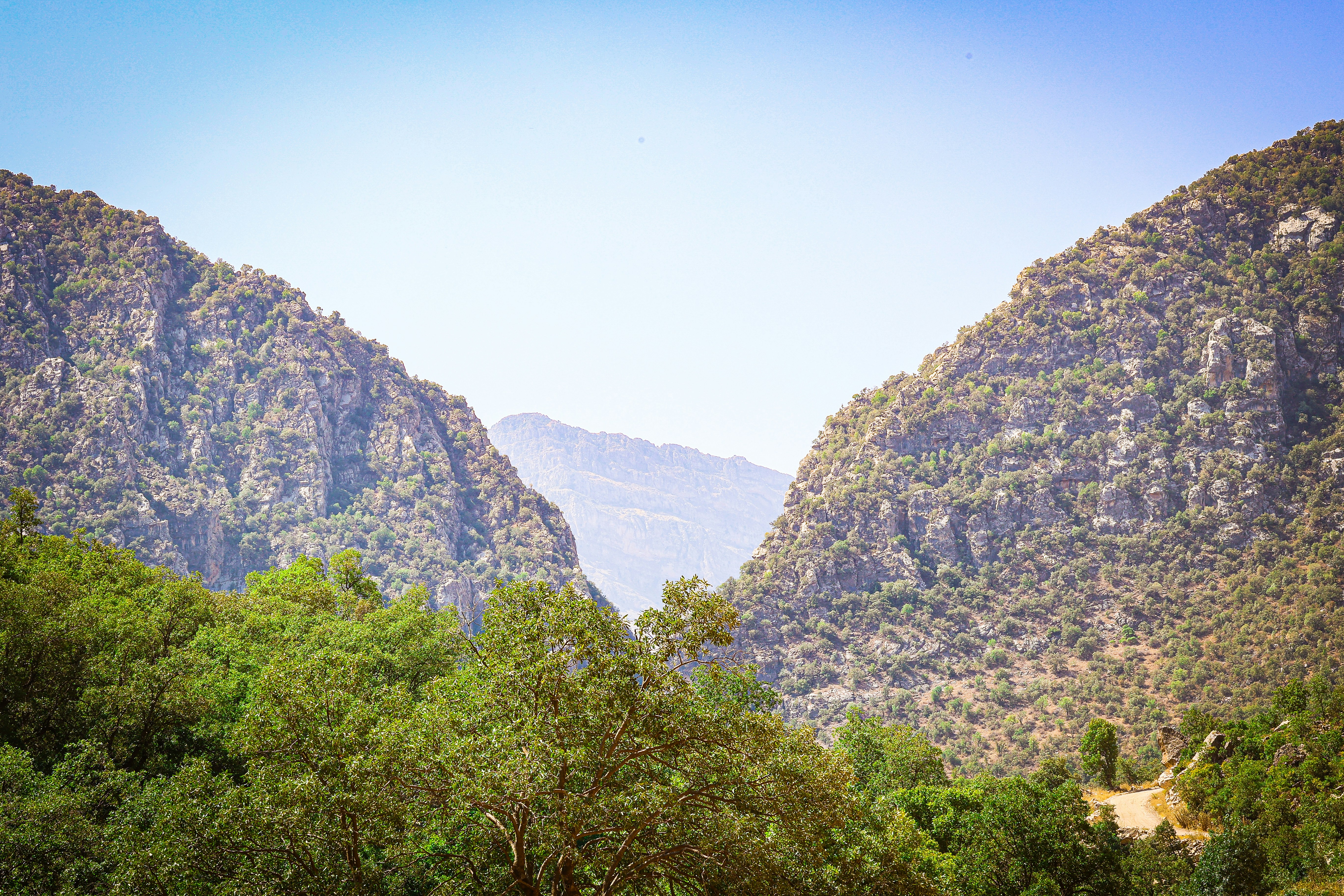 Photo by zrngngharib