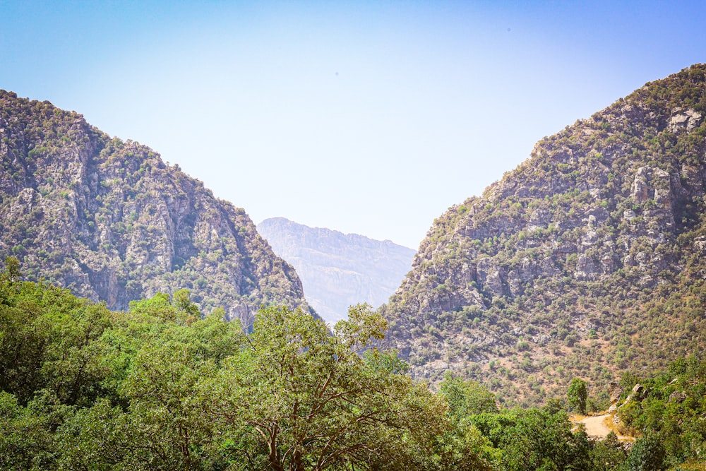 a valley between mountains