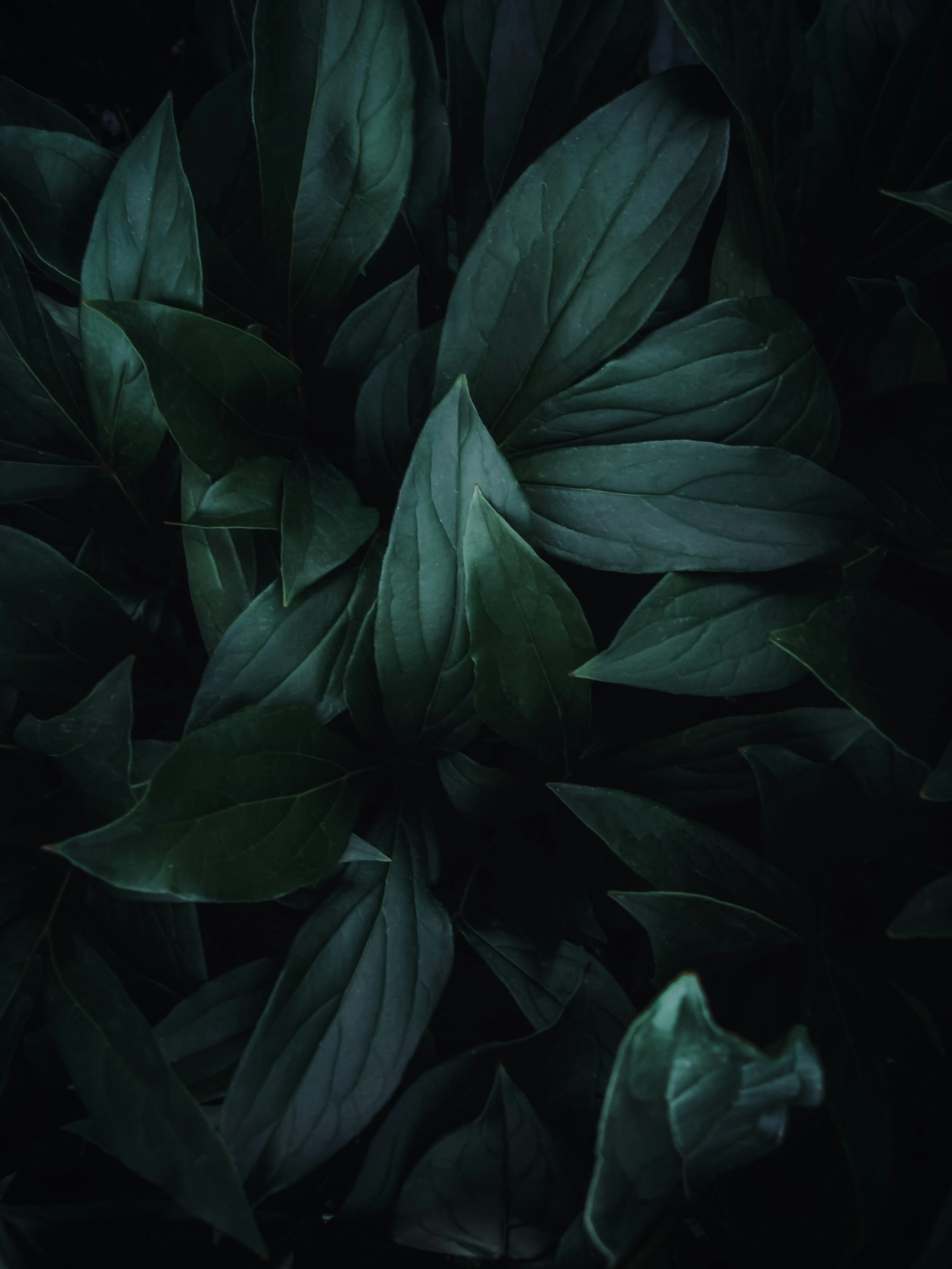 Photo by eugene_golovesov