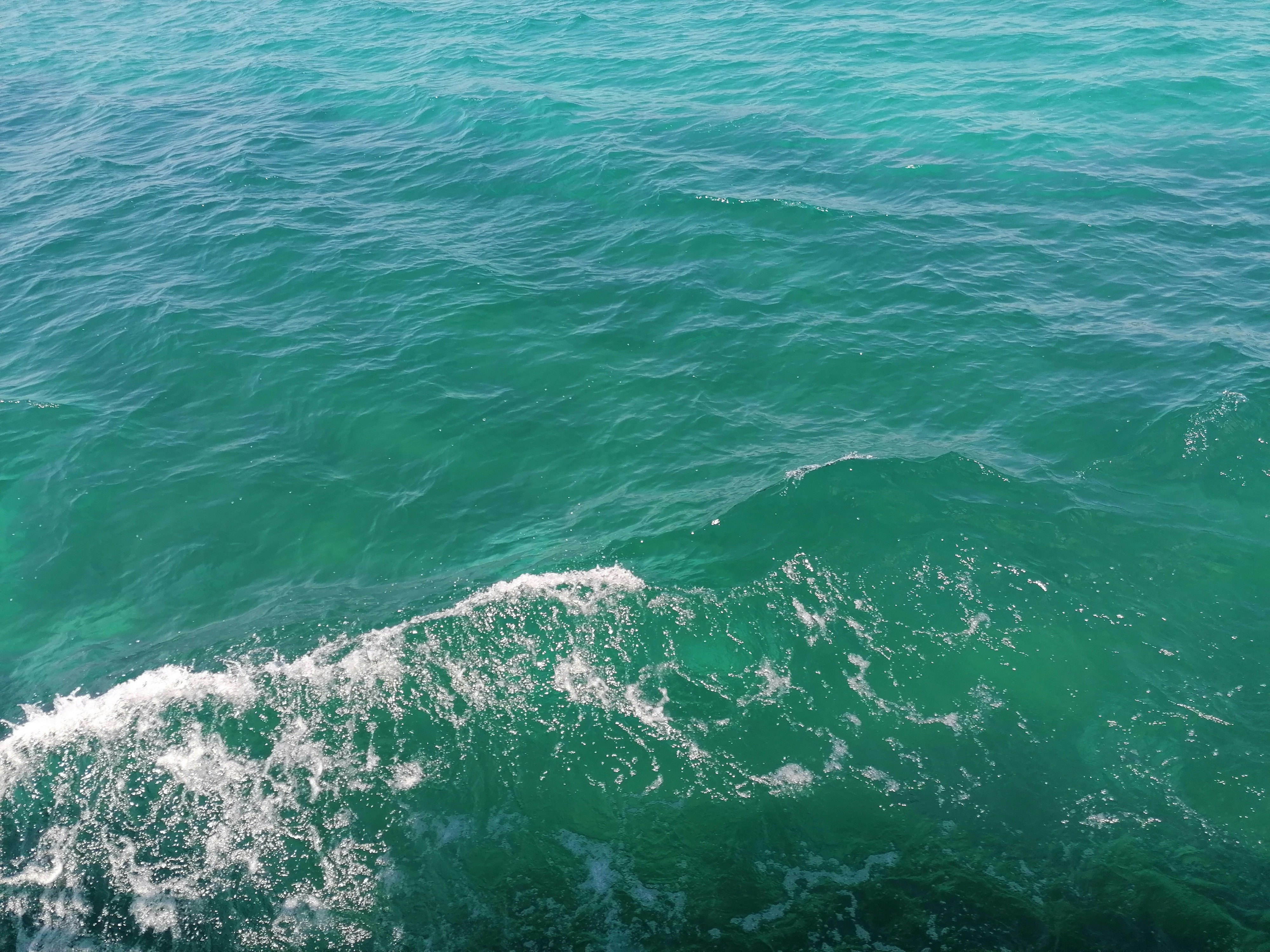 Ocean wave watercolor