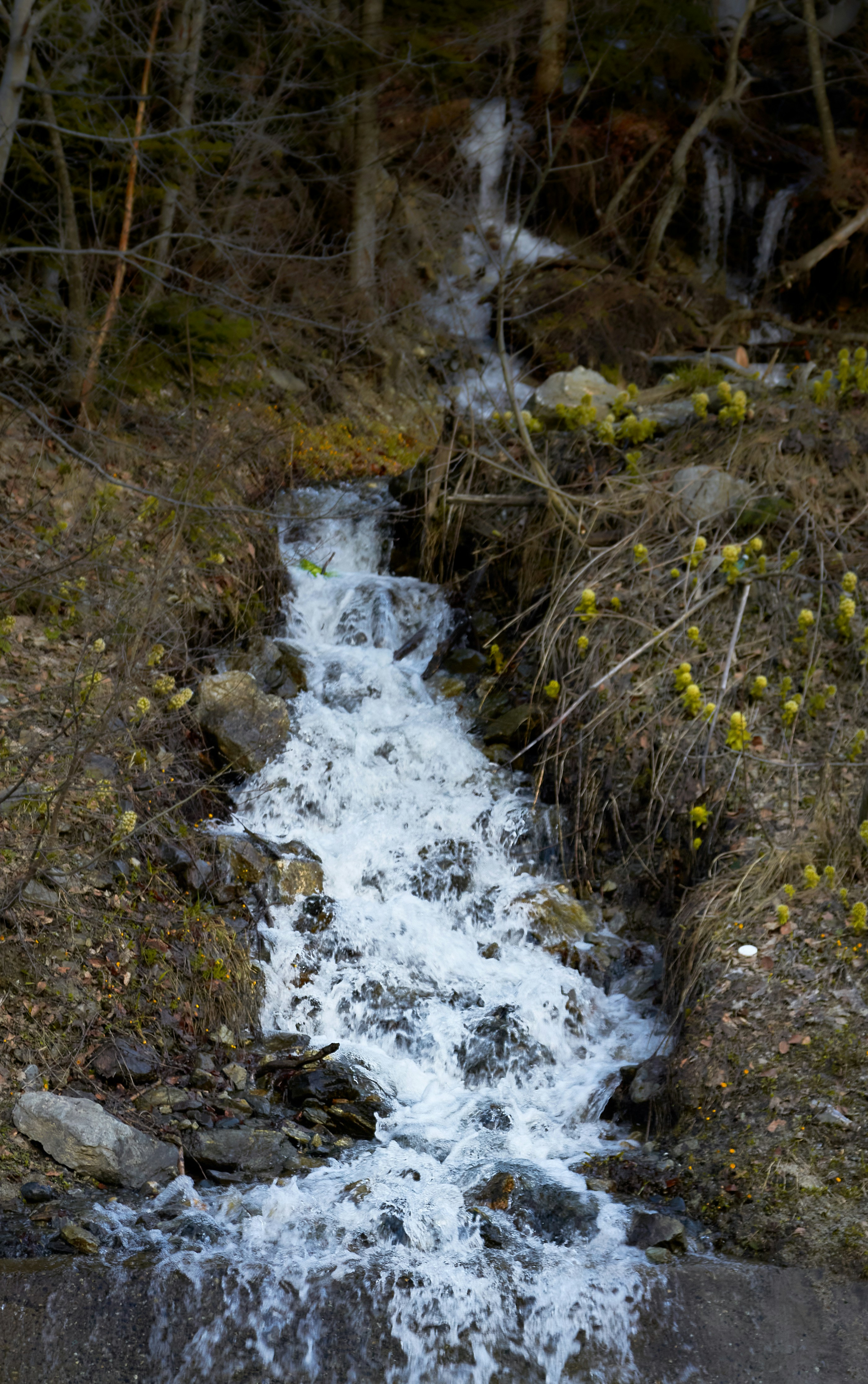 Photo by ankh1977