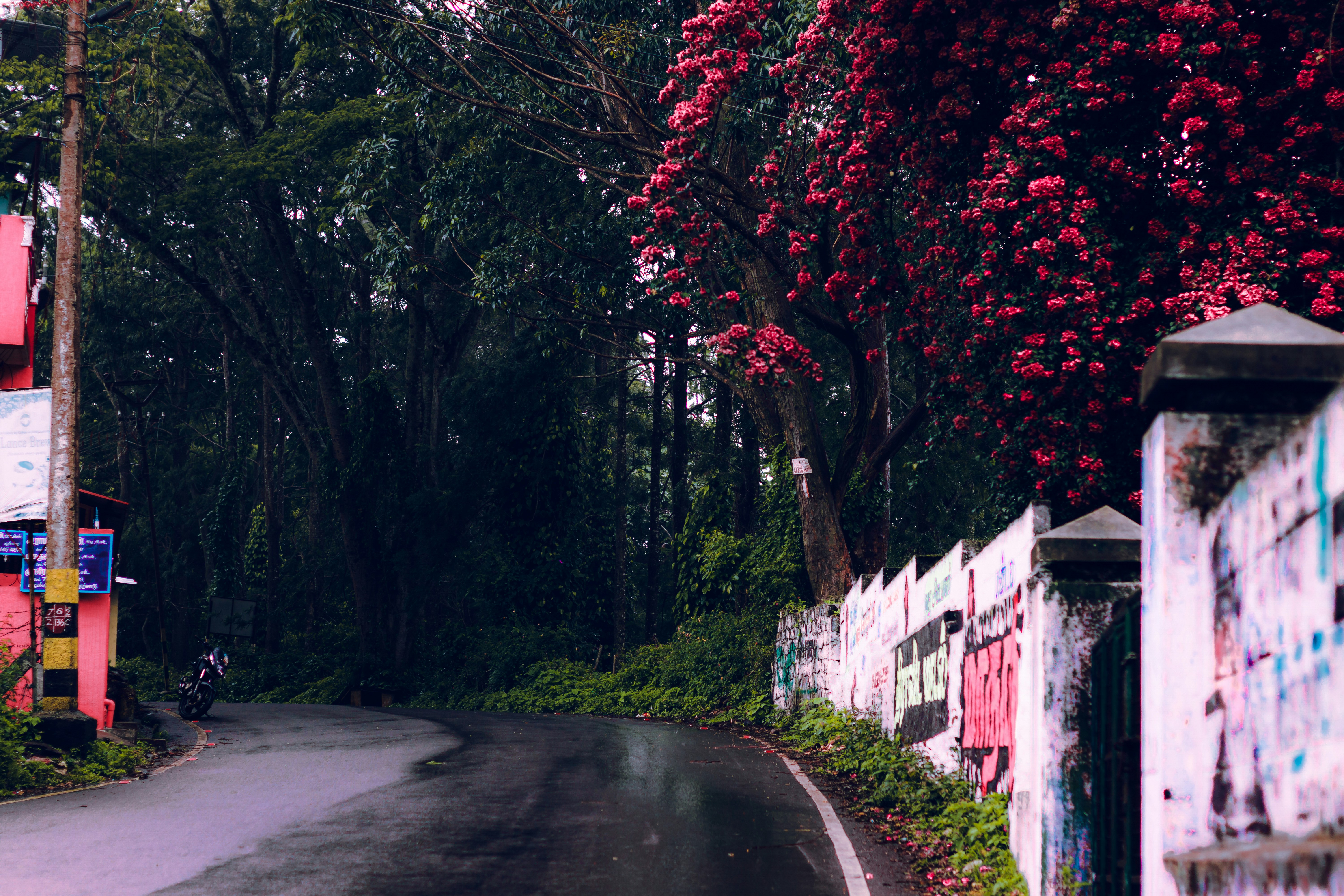 Photo by dhilipantony