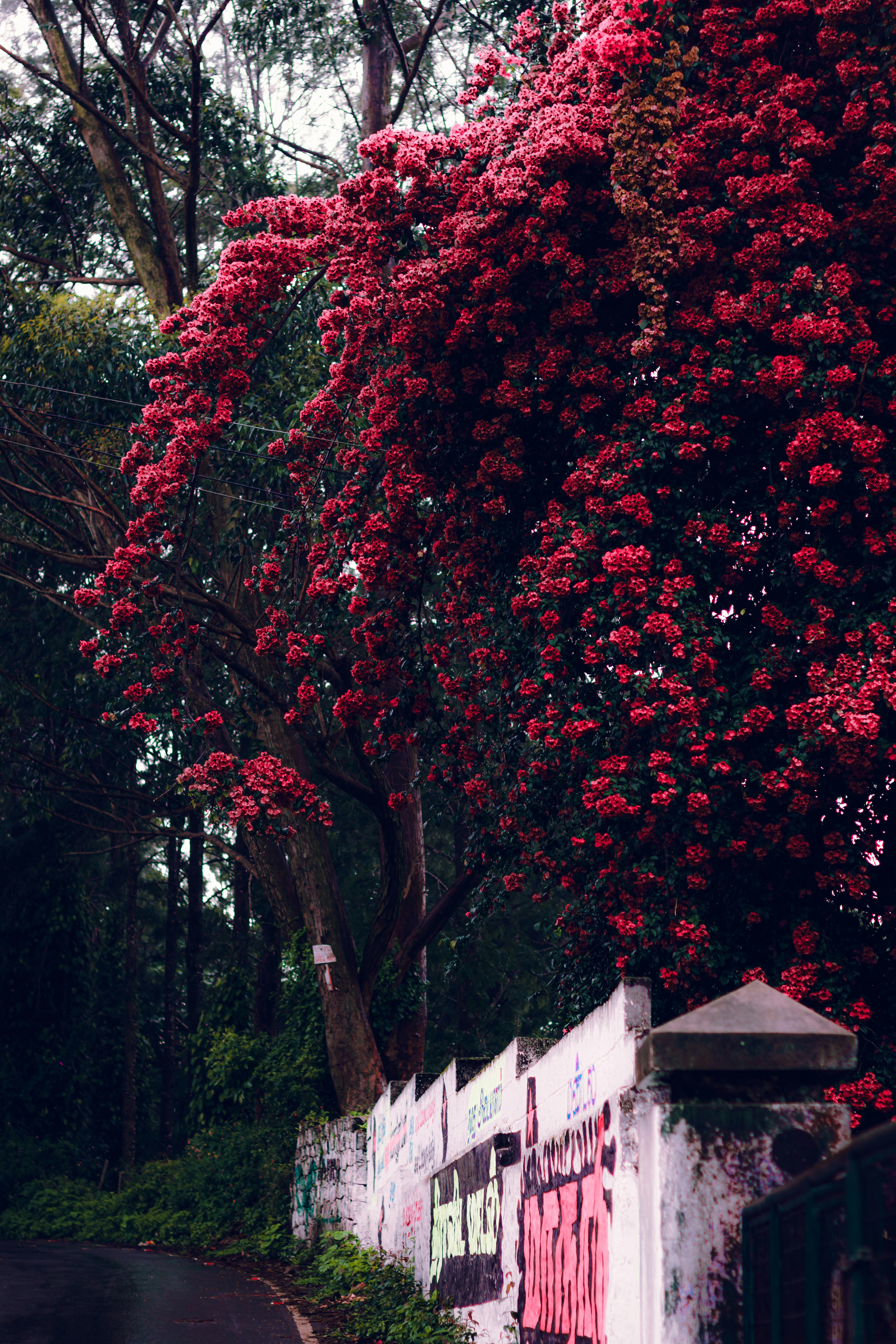 Photo by dhilipantony