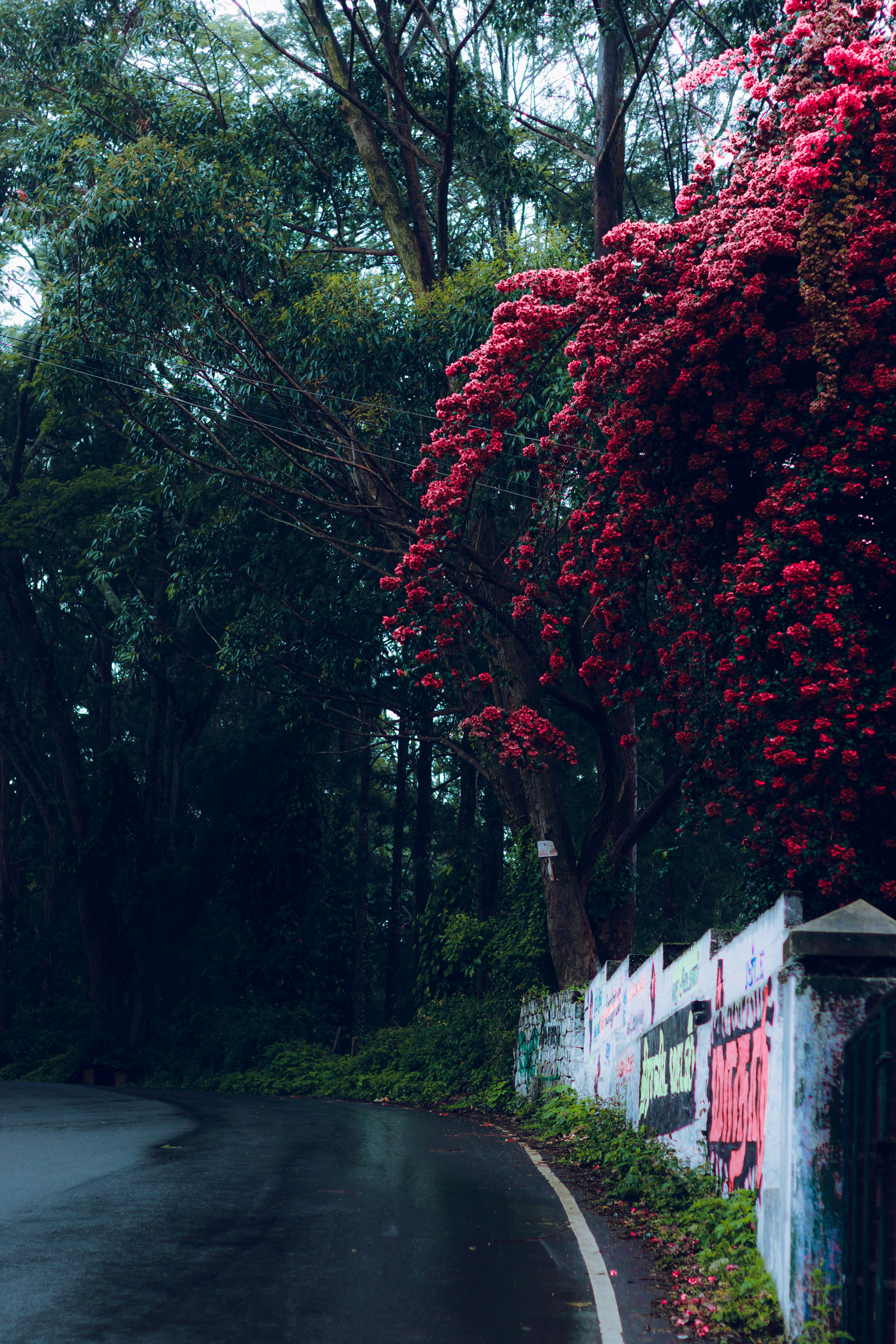 Photo by dhilipantony