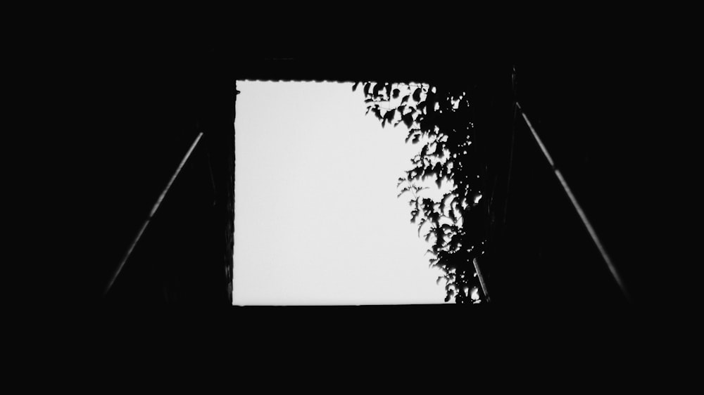 a black and white photo of a tree and a pole