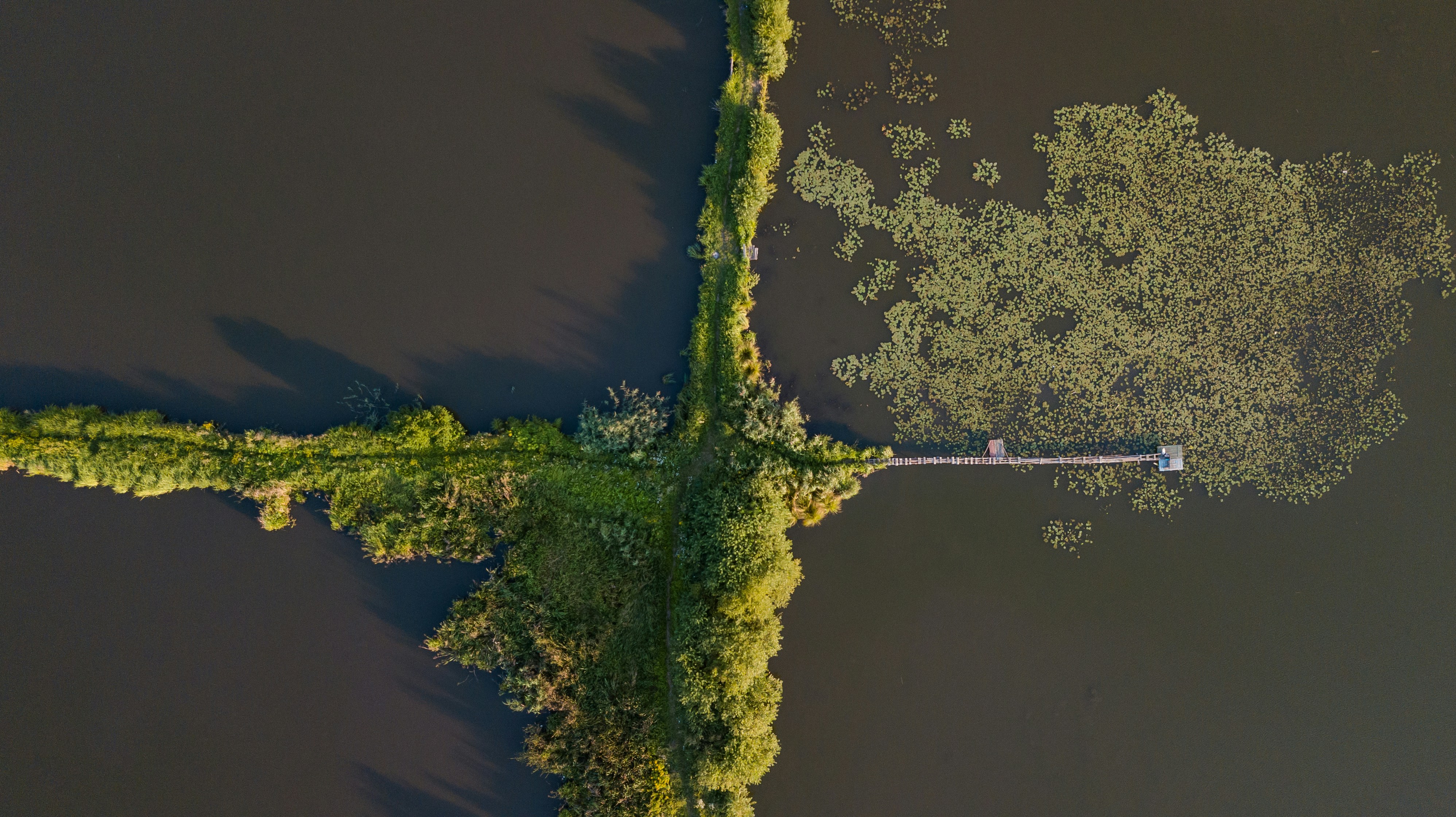 Photo by viktorsmoliak