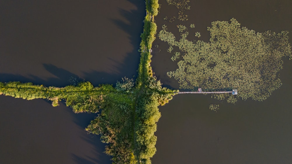 a landscape with trees and water