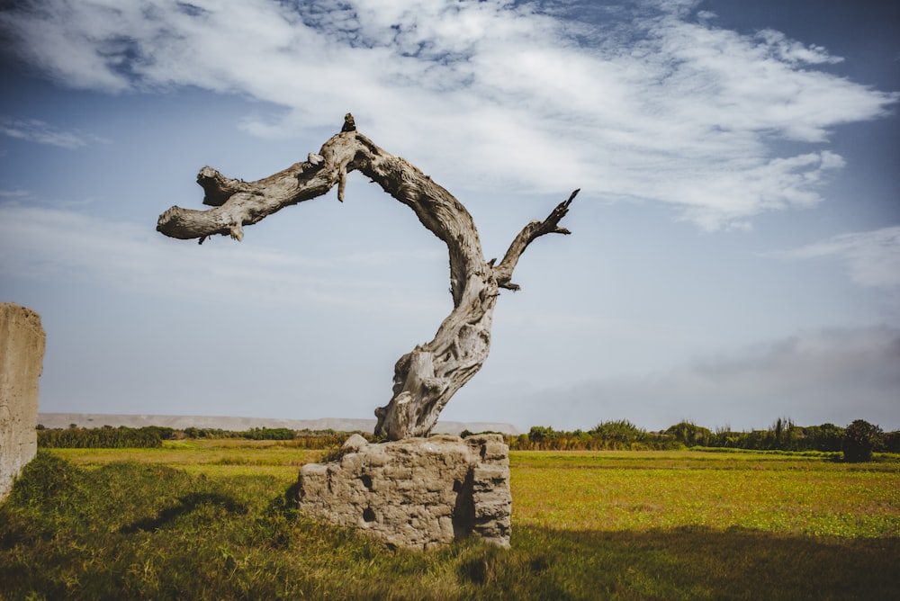 a statue of a person on a rock in a field