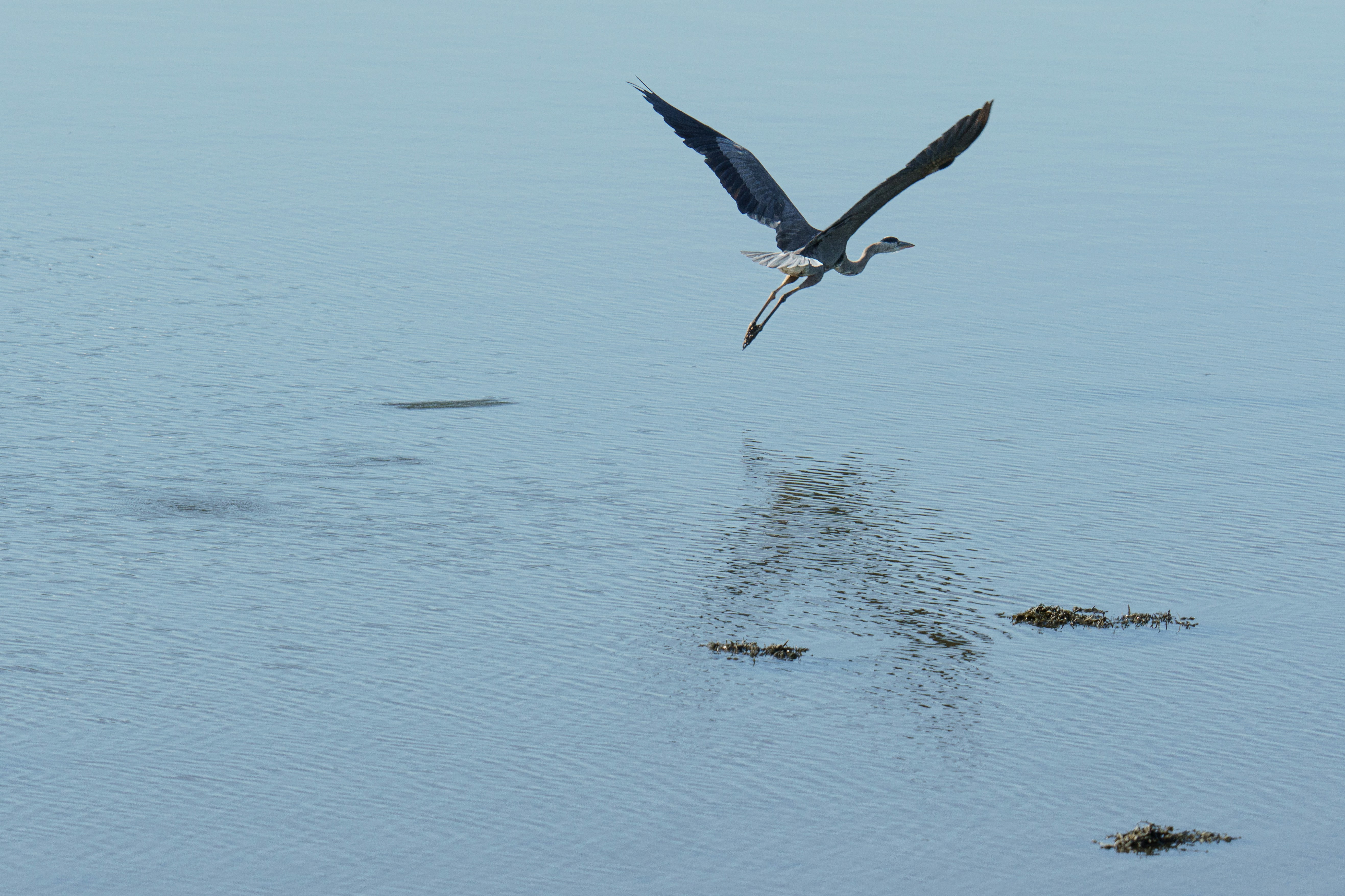 Photo by navinhardyal