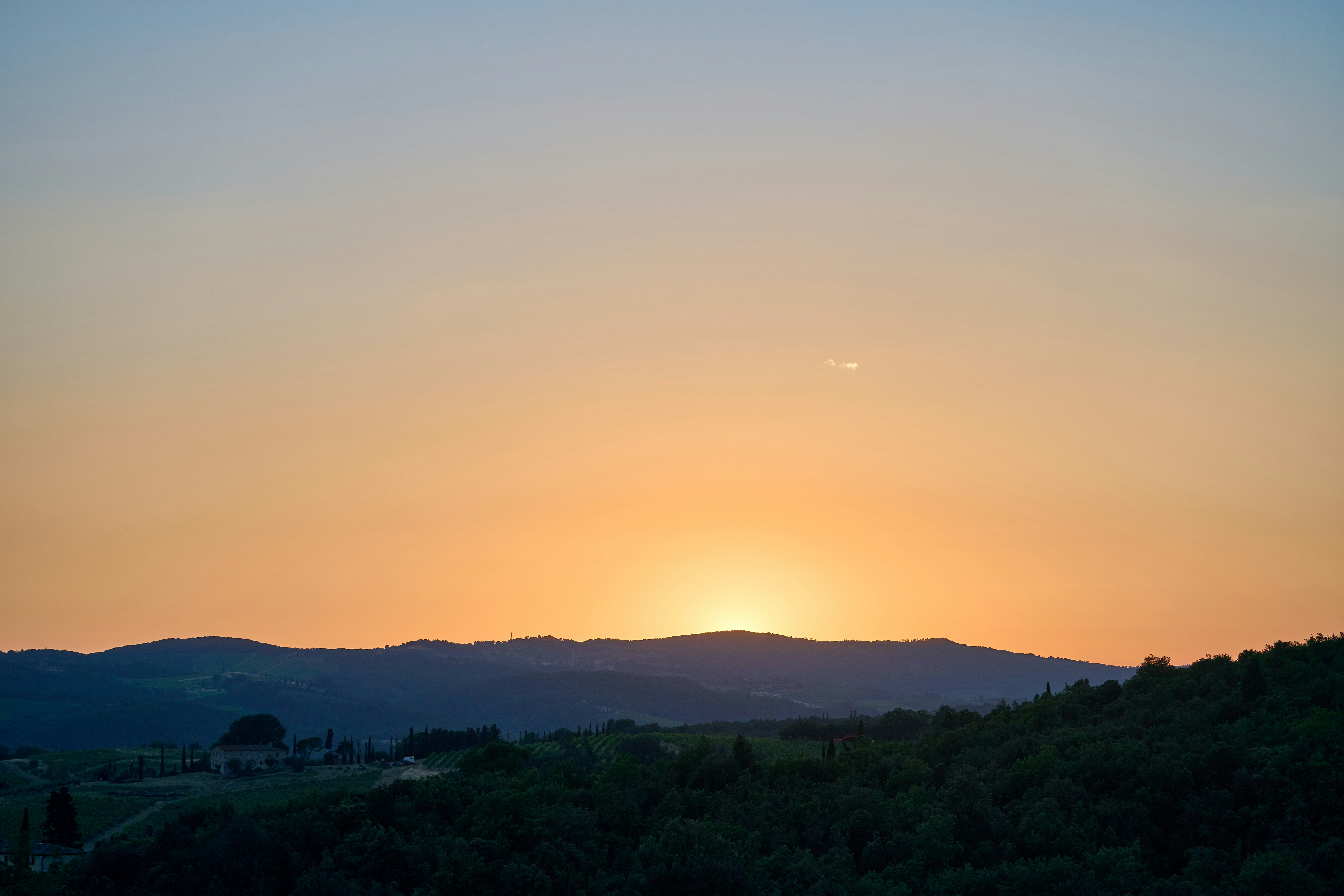 Photo by wolfgang_hasselmann