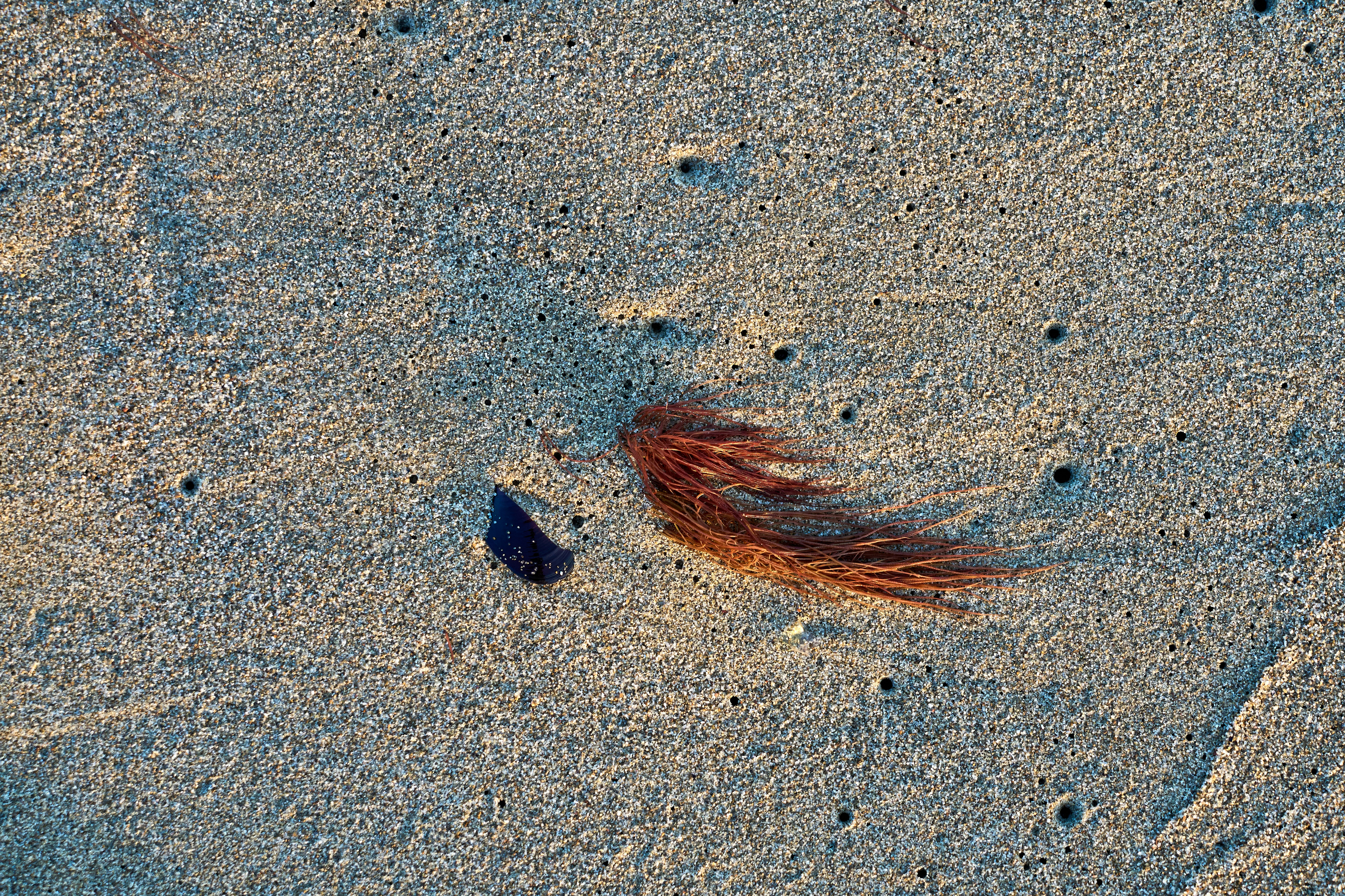 Photo by wolfgang_hasselmann