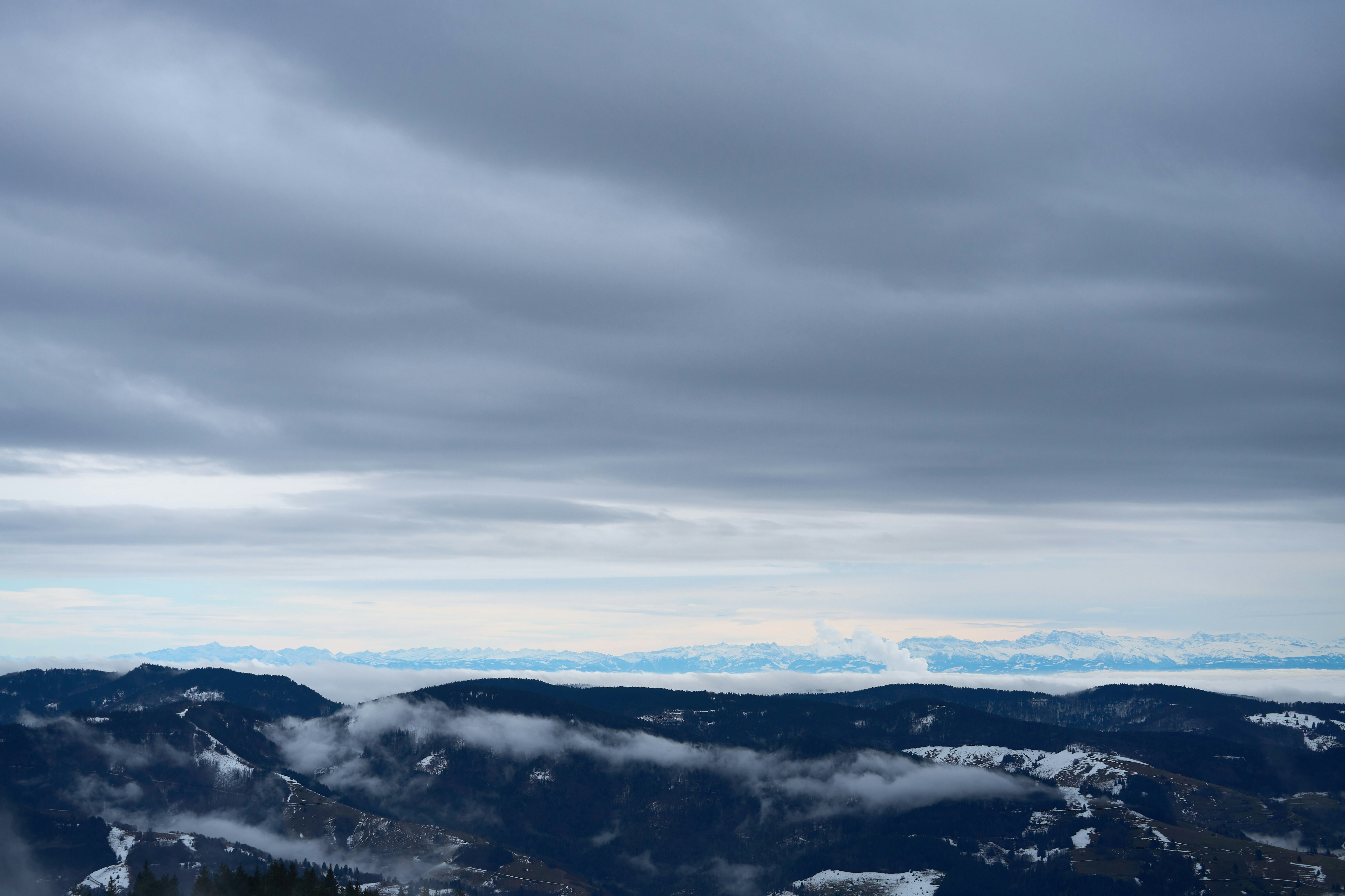 Photo by wolfgang_hasselmann