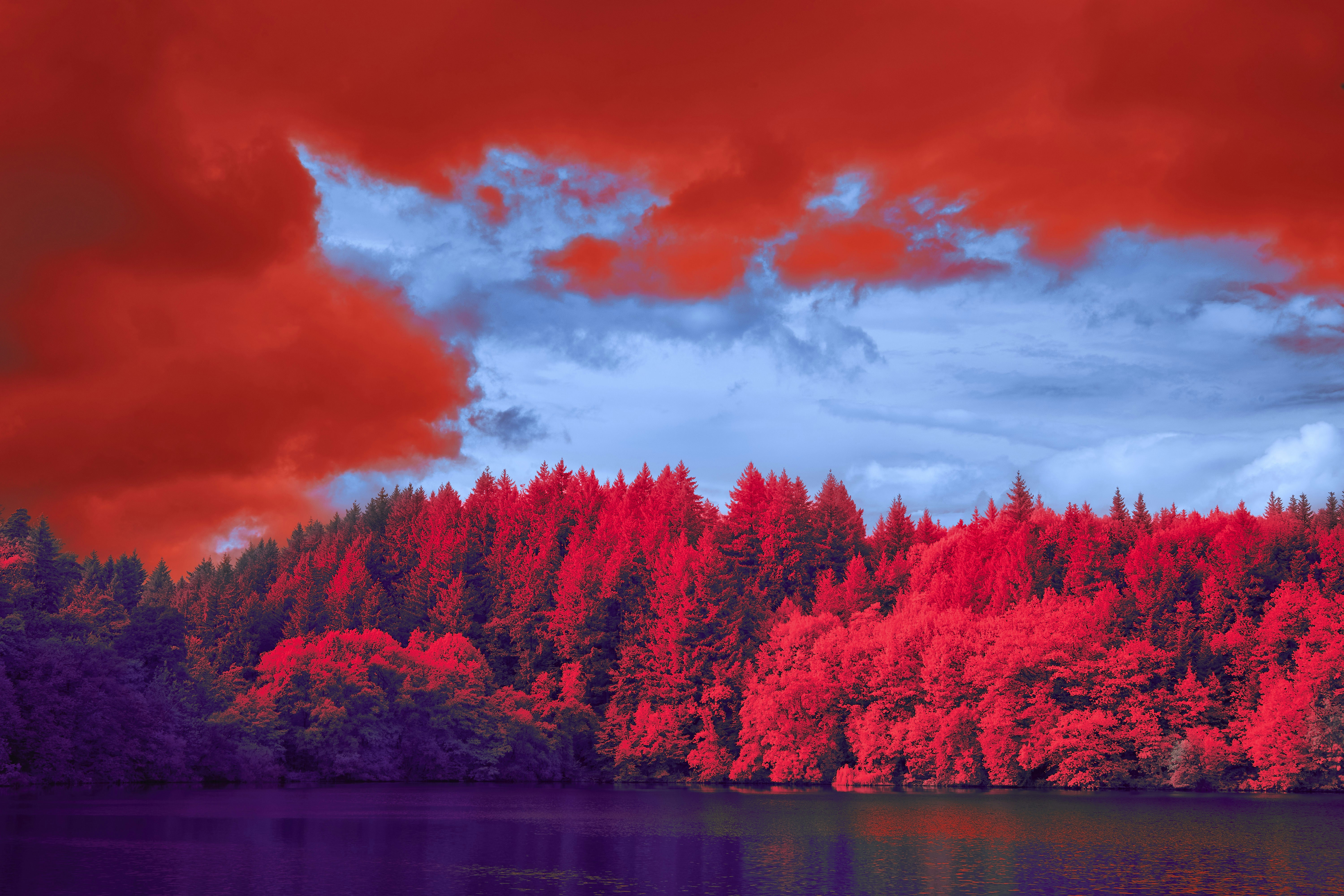 Photo by wolfgang_hasselmann