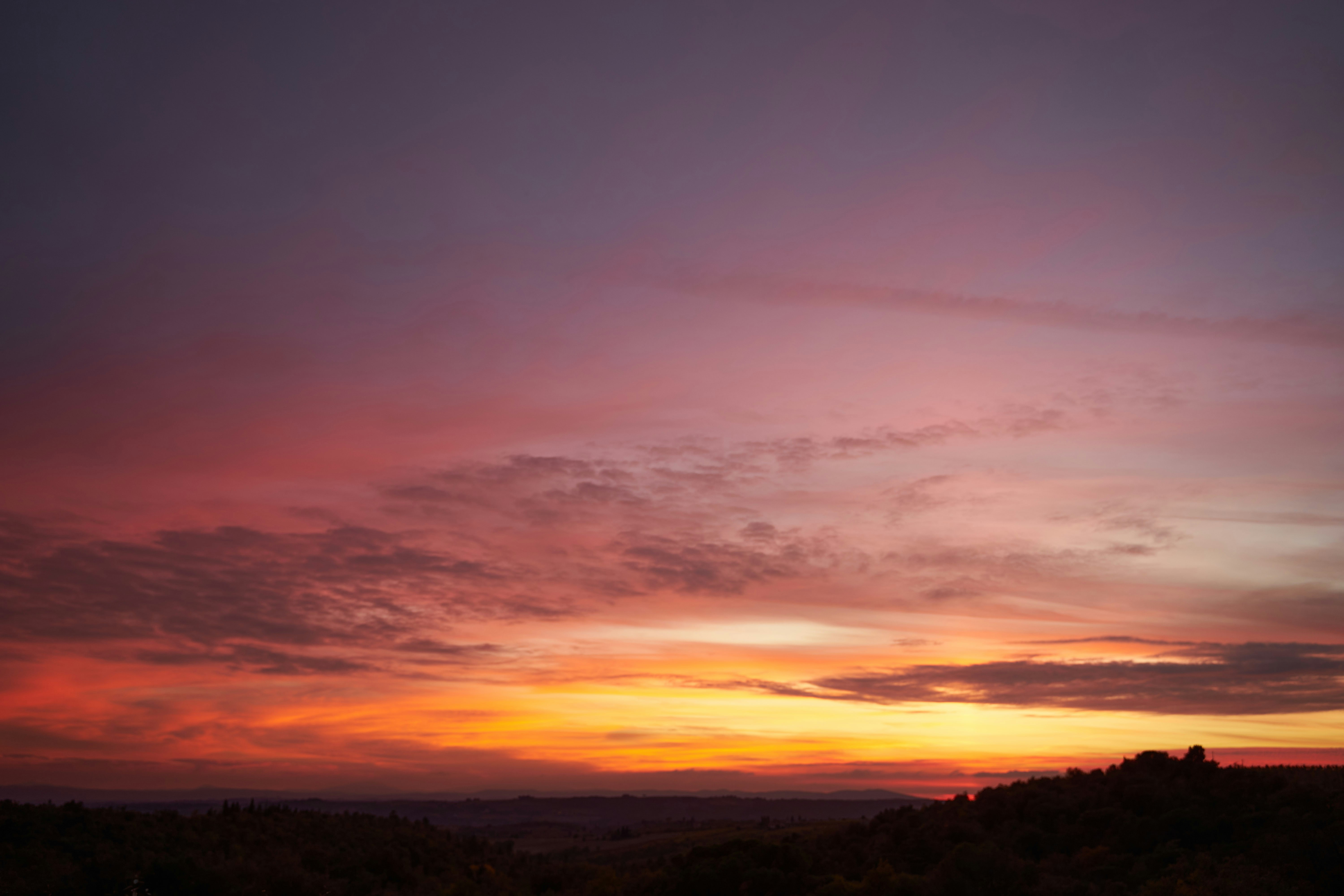 Photo by wolfgang_hasselmann