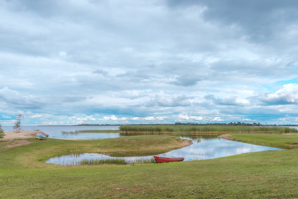 a small pond in a field