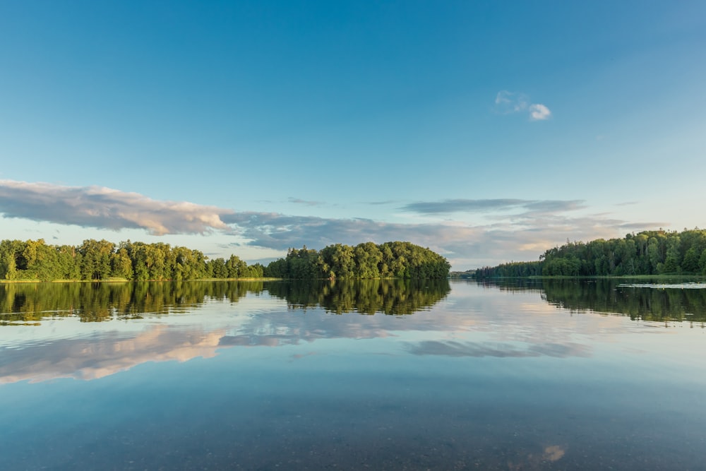 a body of water with trees on the side