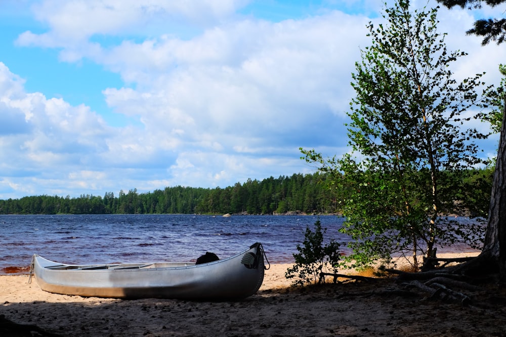 a boat on the shore