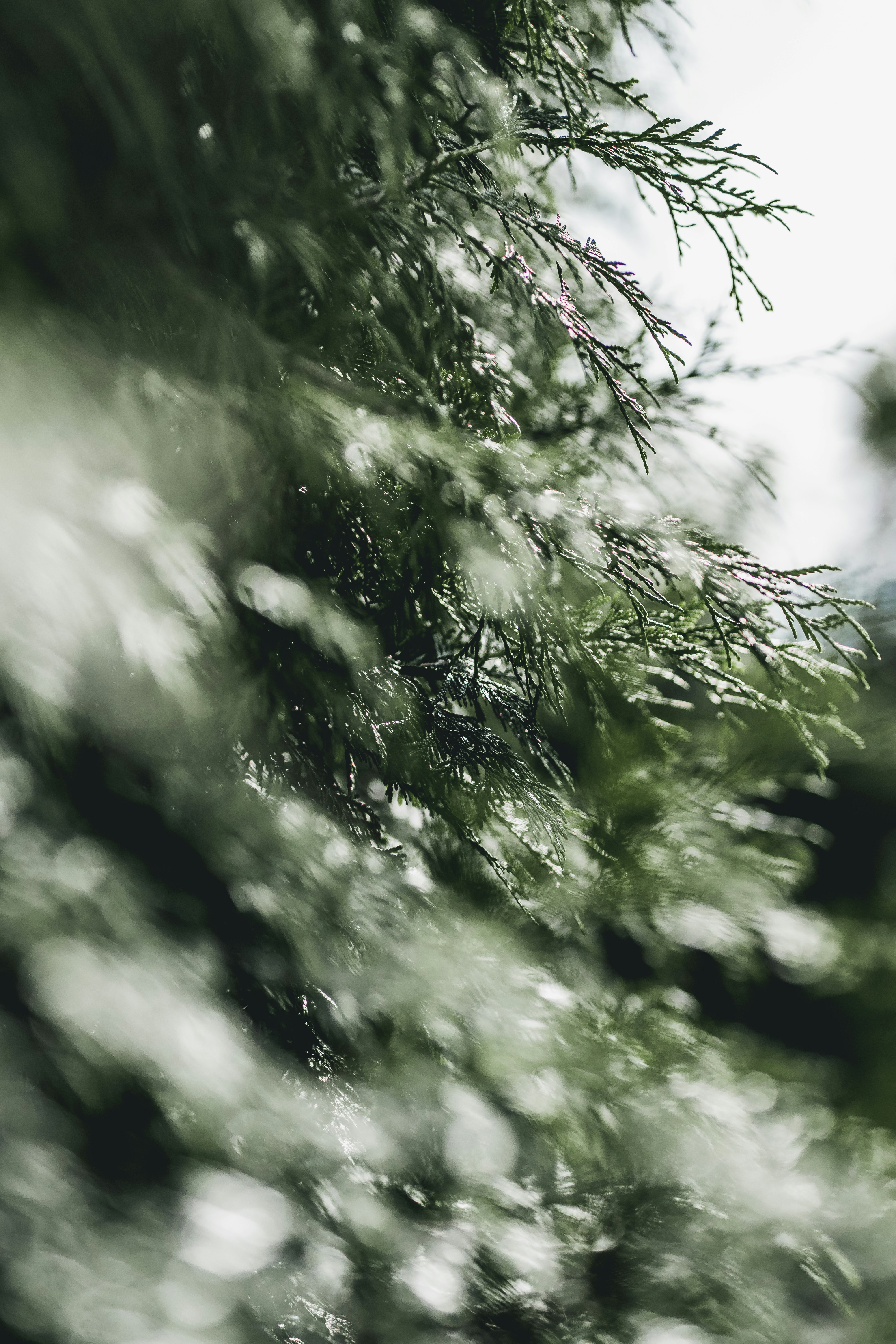 Photo by mikulecmichal