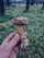 A happy customer holding a fresh mushroom grow kit from pilzimperium in a cozy kitchen setting.