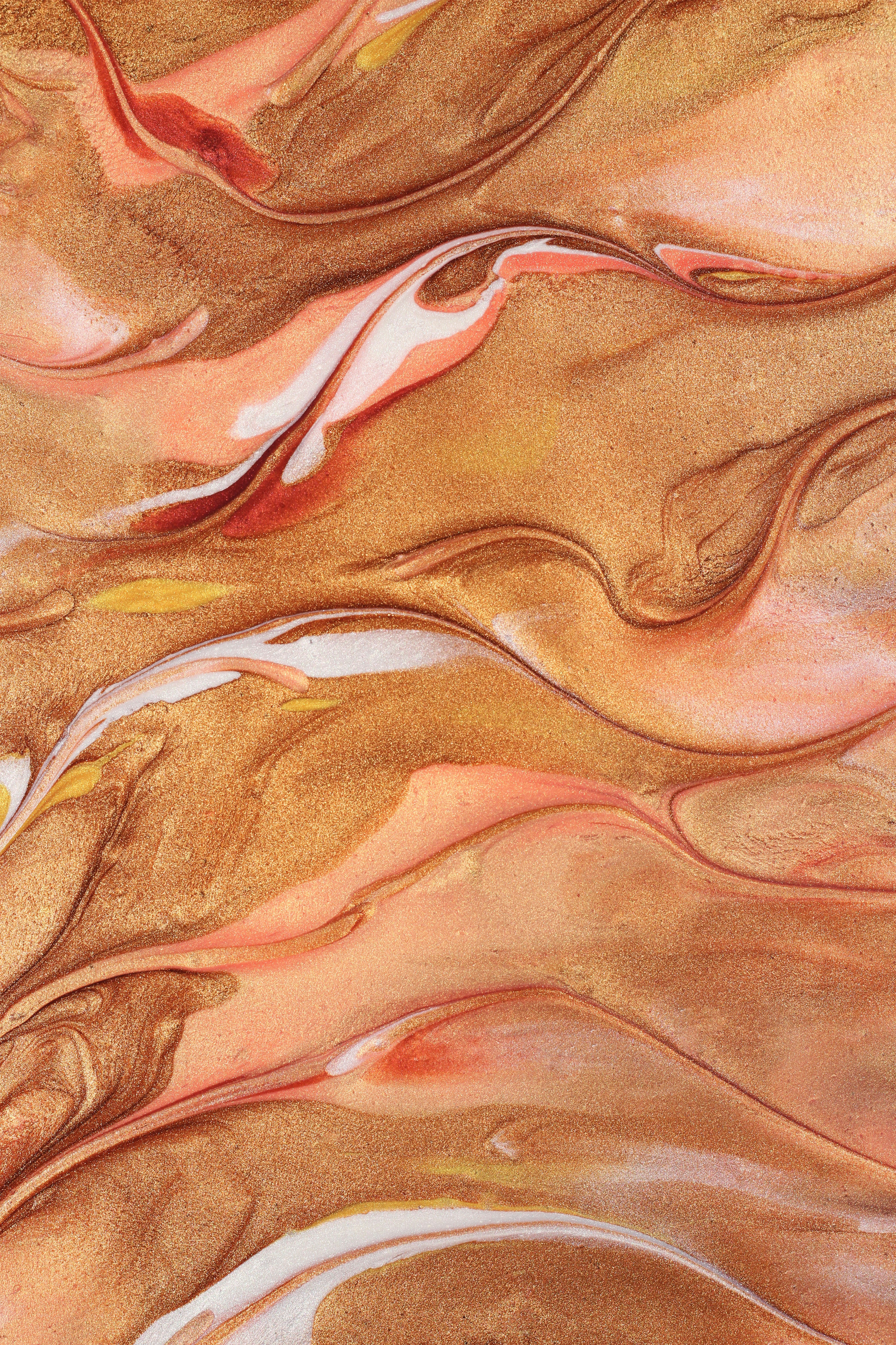 Photo by susan_wilkinson