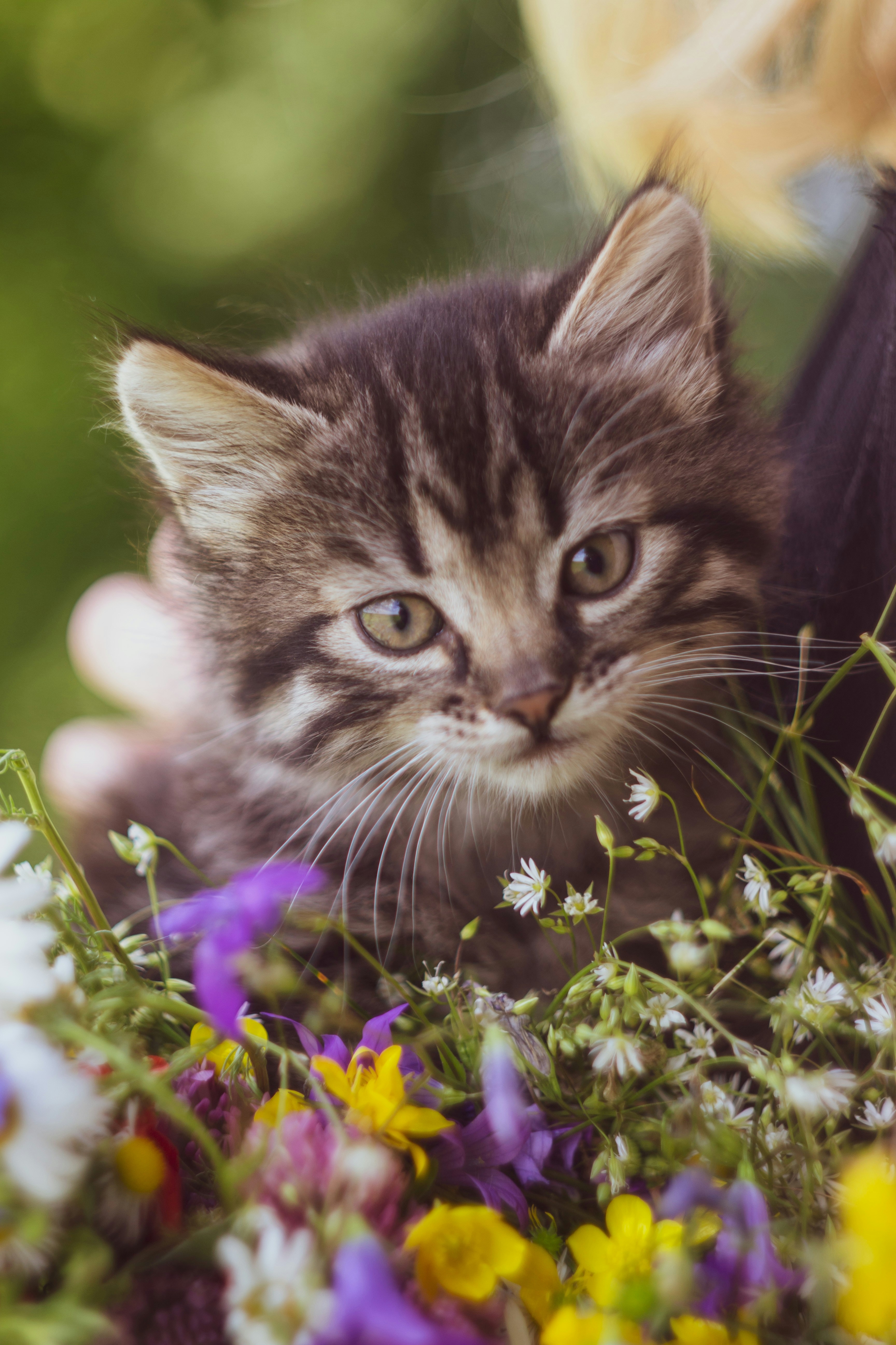 Photo by viktorsmoliak