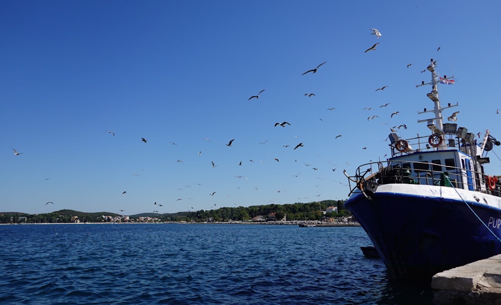 a boat in the water with birds flying around