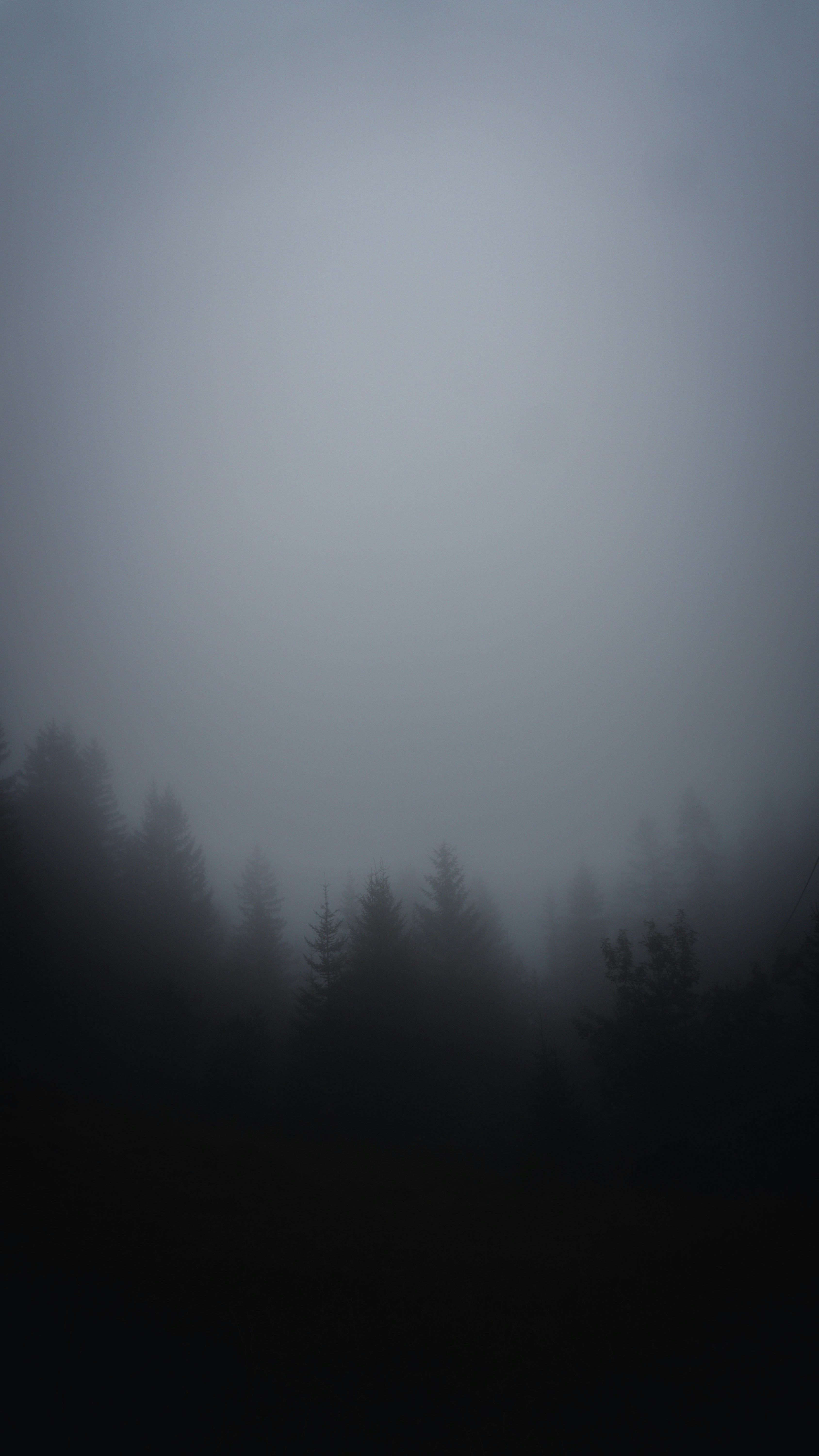 Photo by watchelijah