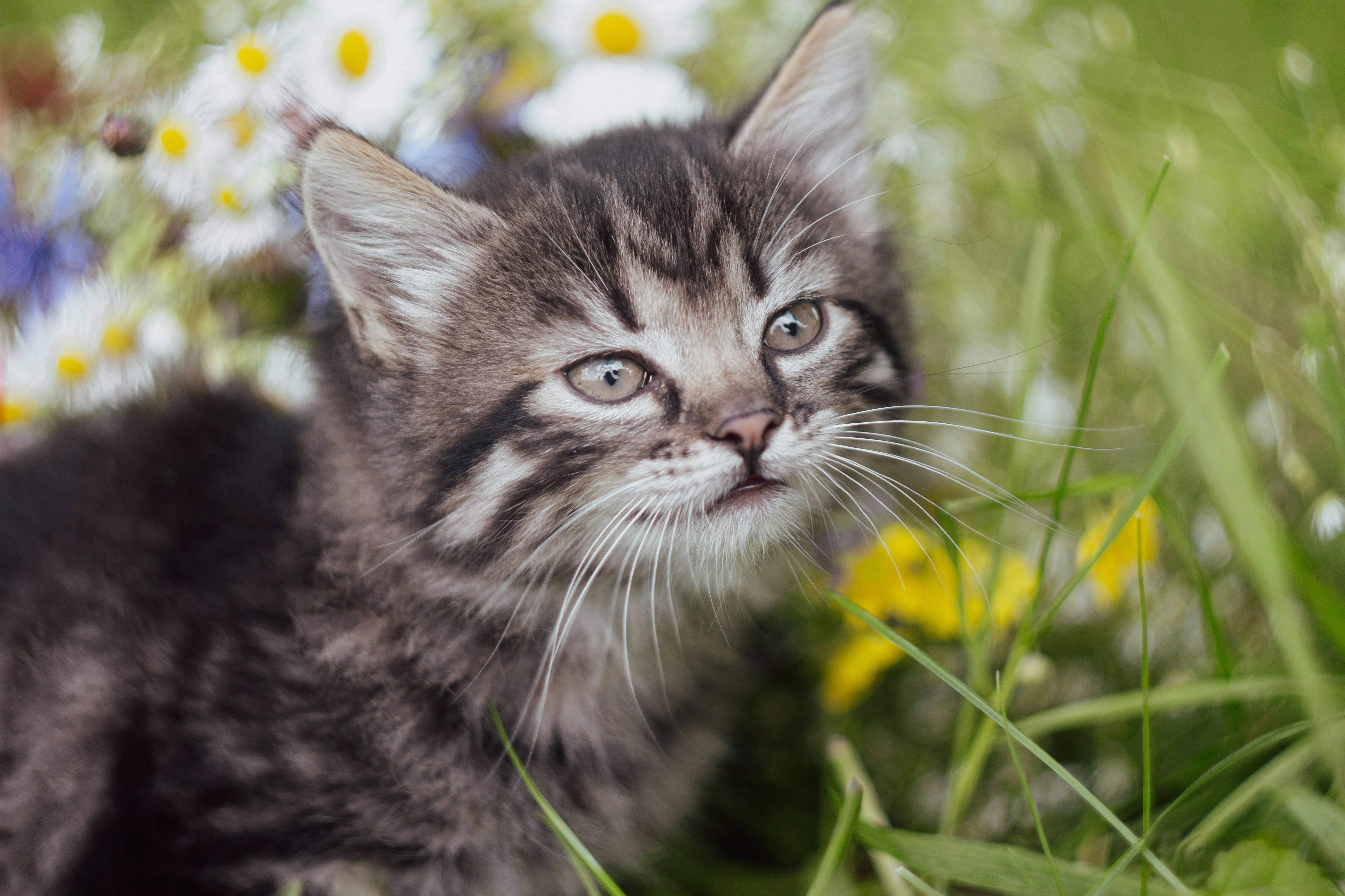 Photo by viktorsmoliak