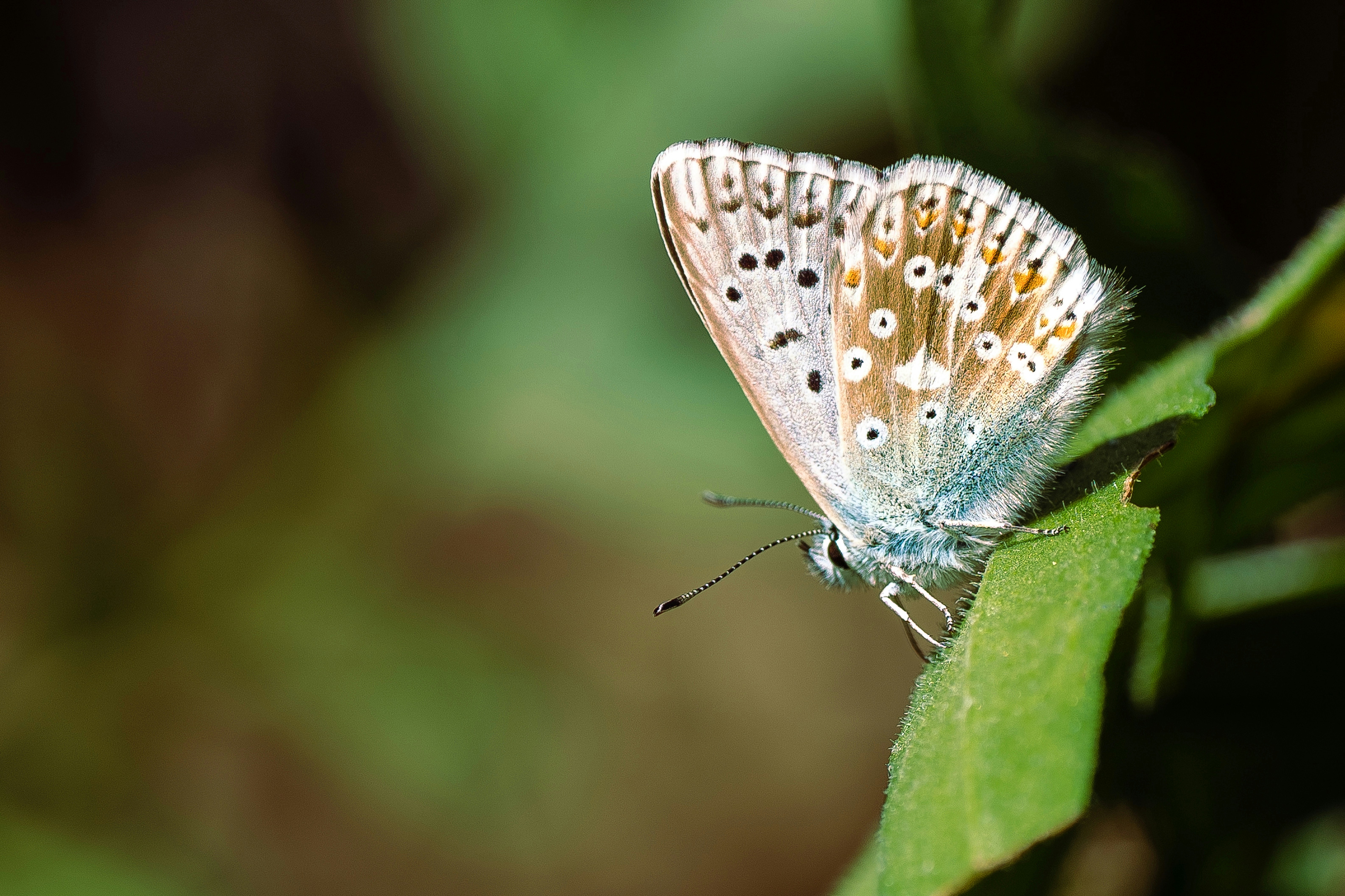 Photo by sinusfiction