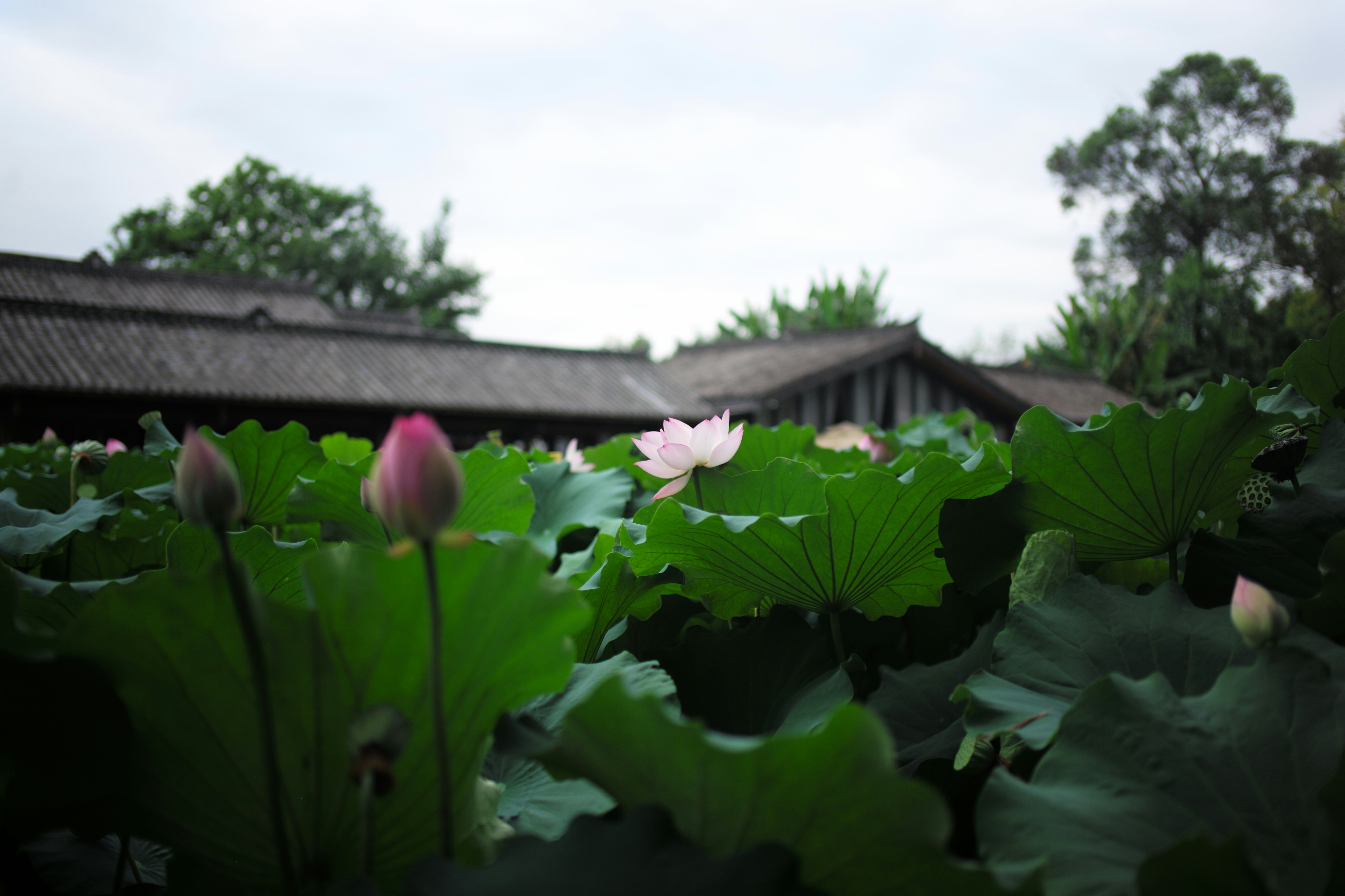 Photo by onice