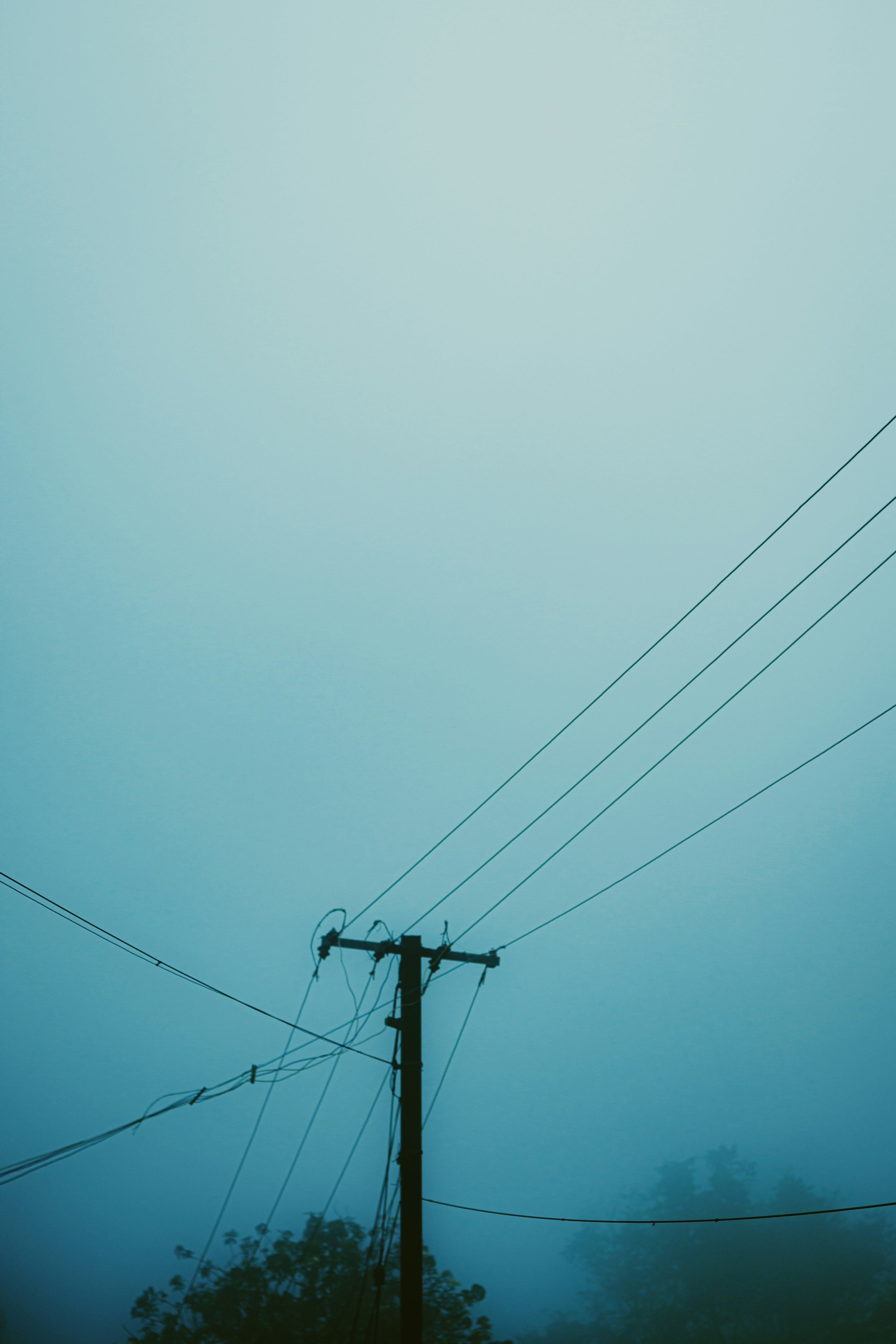 Photo by dhilipantony