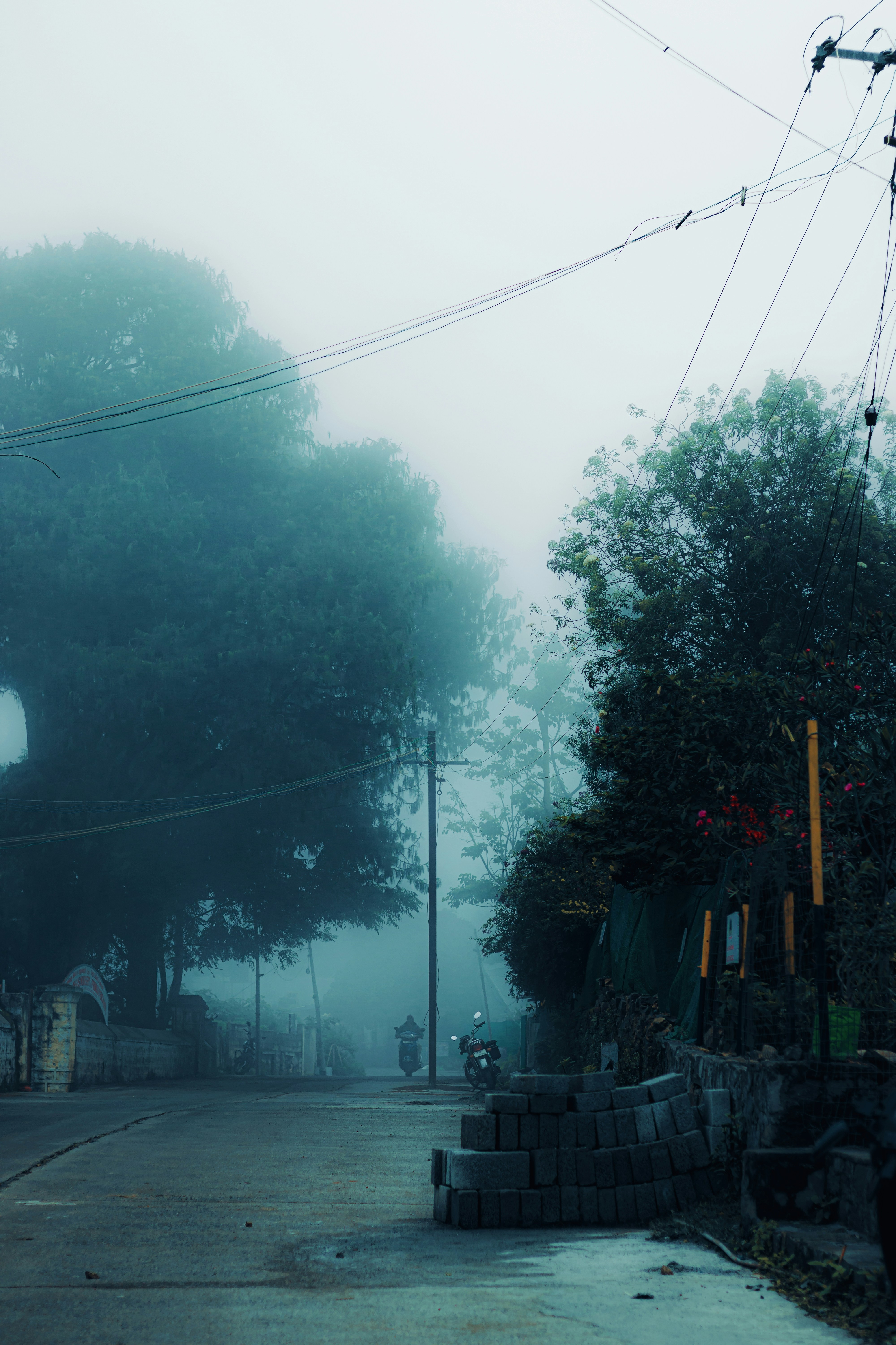 Photo by dhilipantony