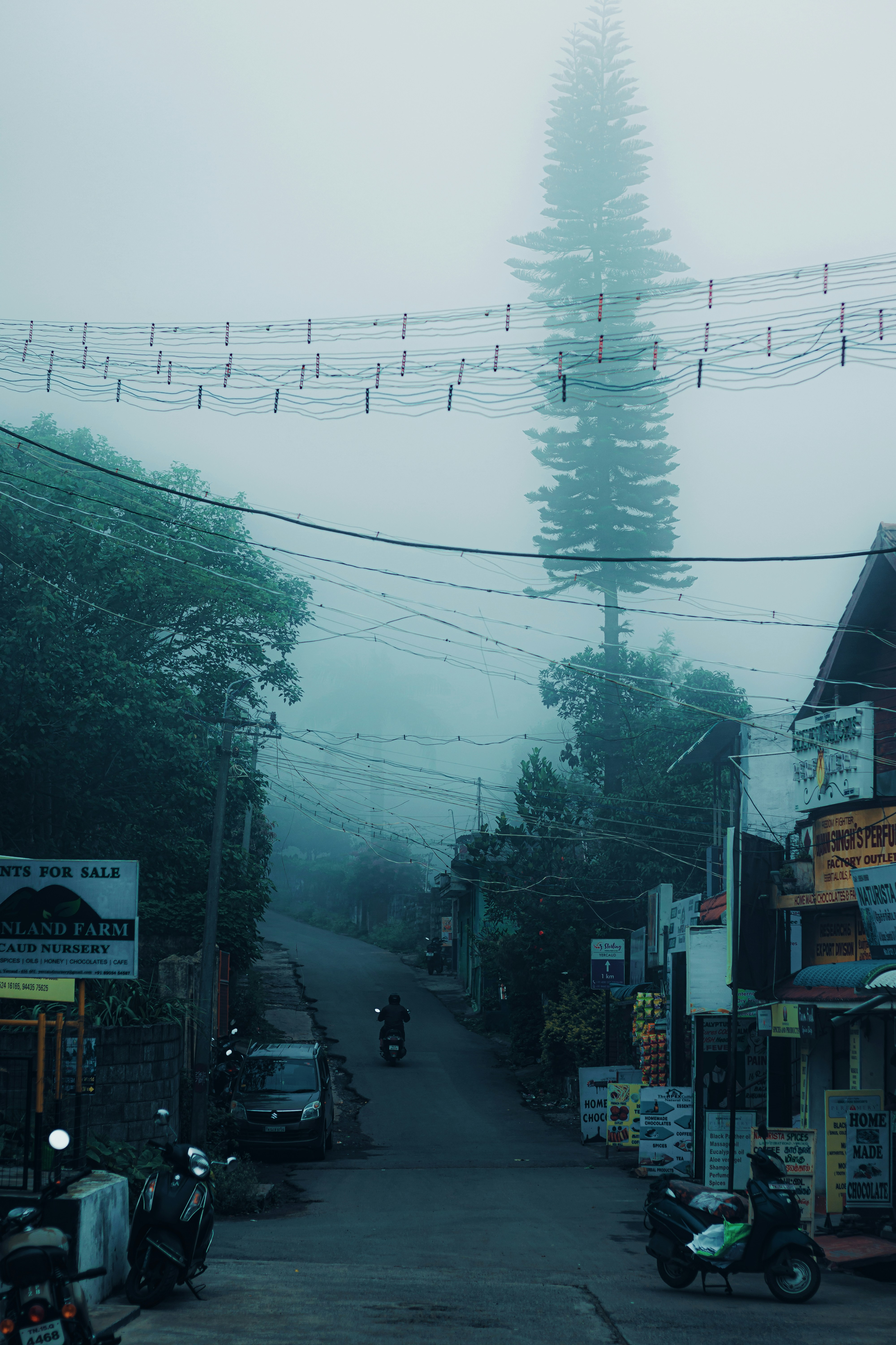 Photo by dhilipantony