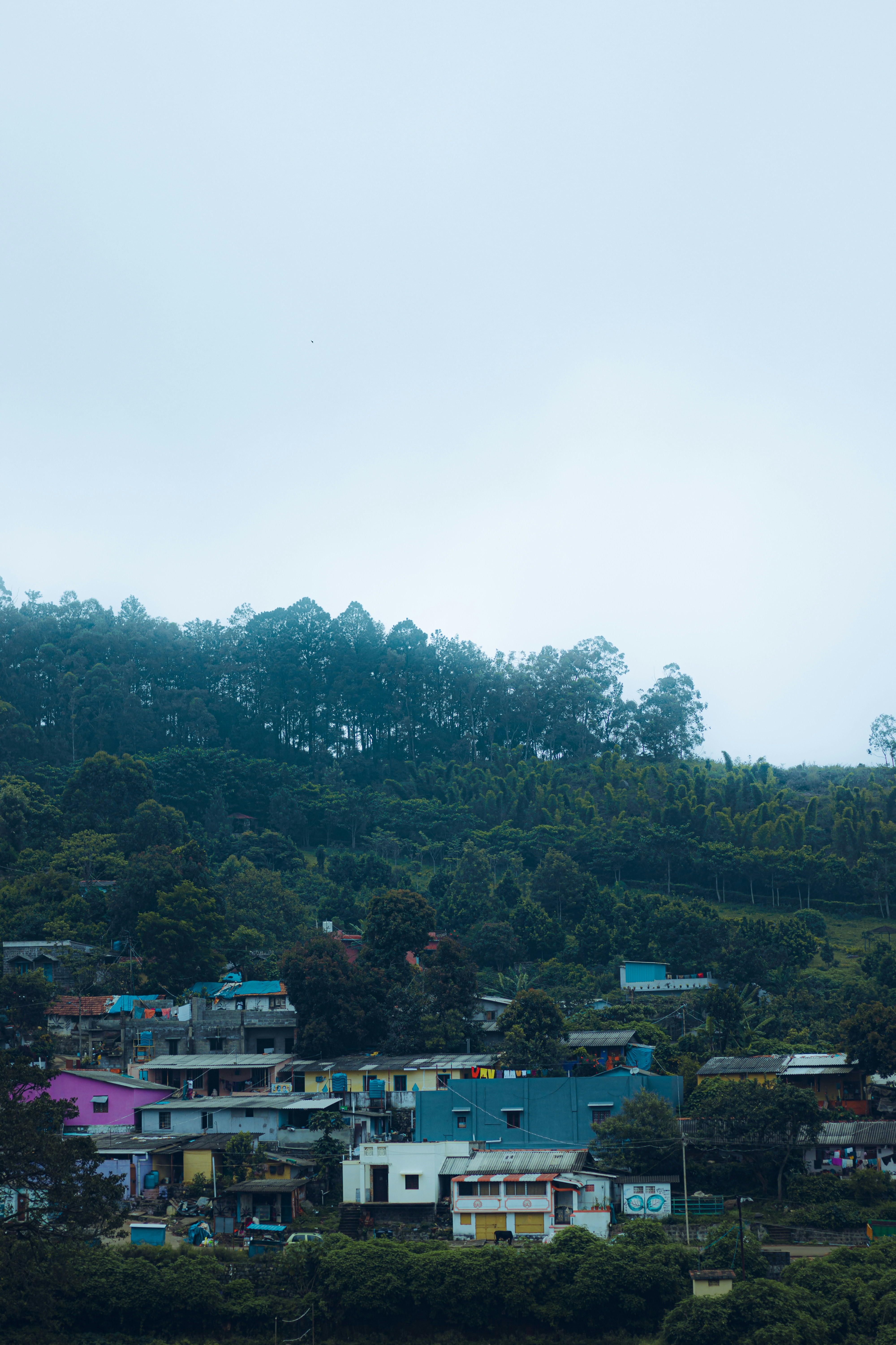 Photo by dhilipantony