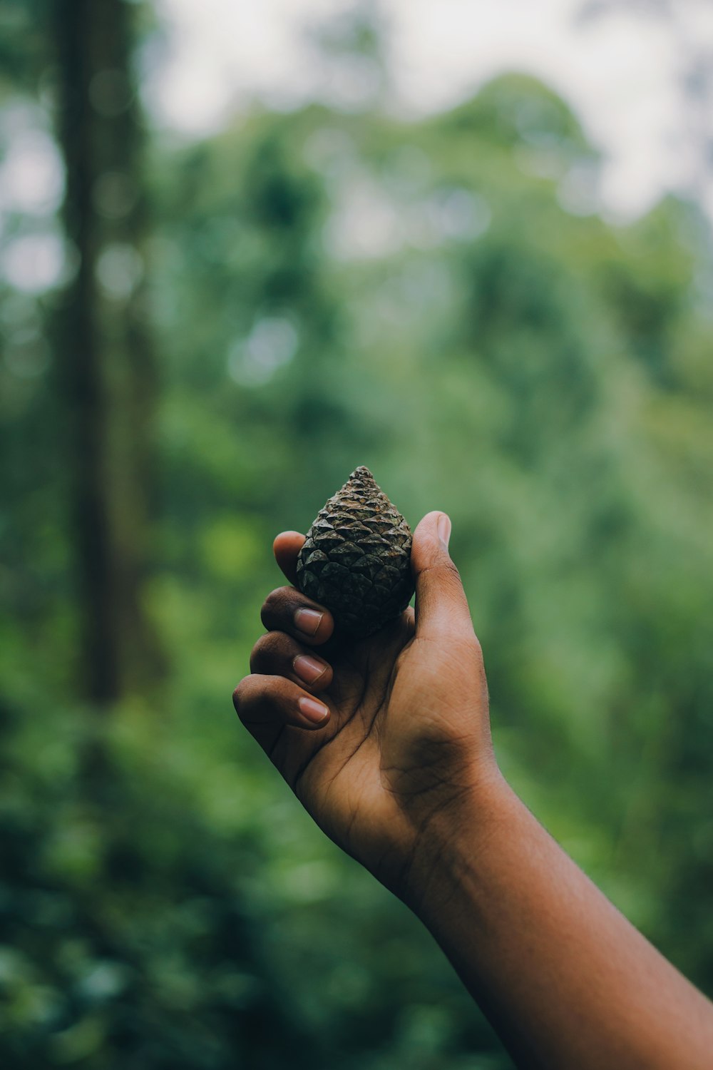 a hand holding a small black rock