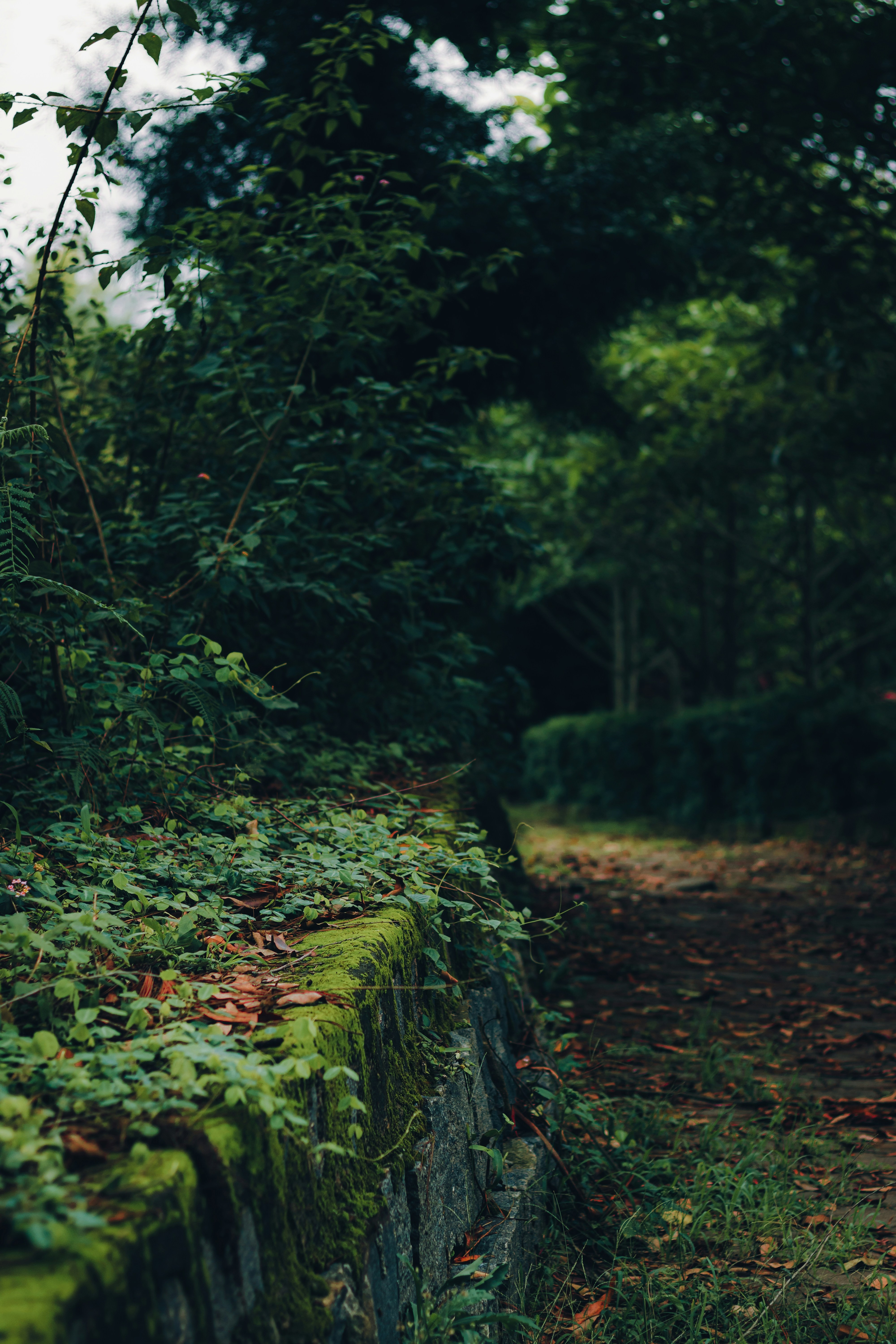 Photo by dhilipantony