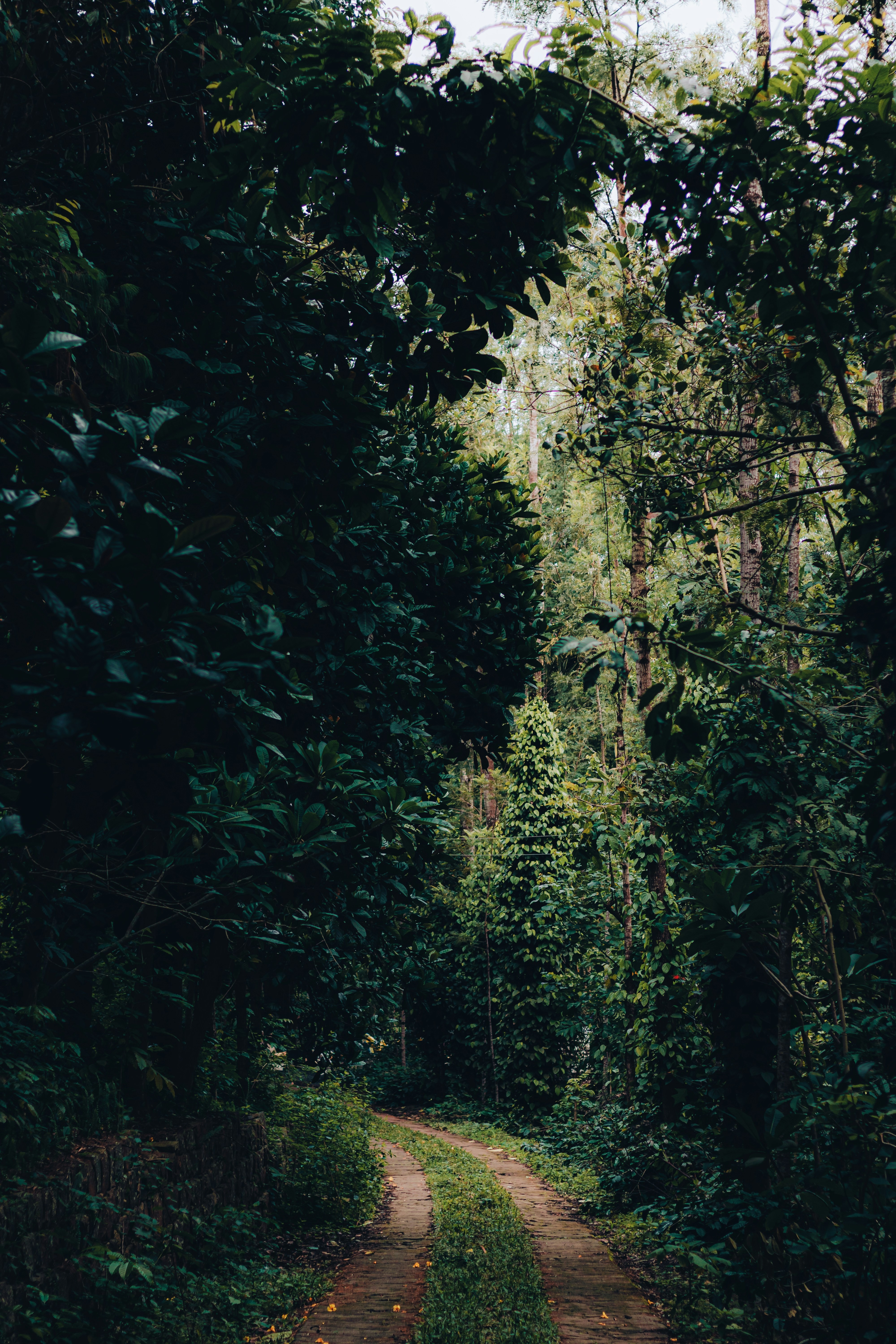 Photo by dhilipantony