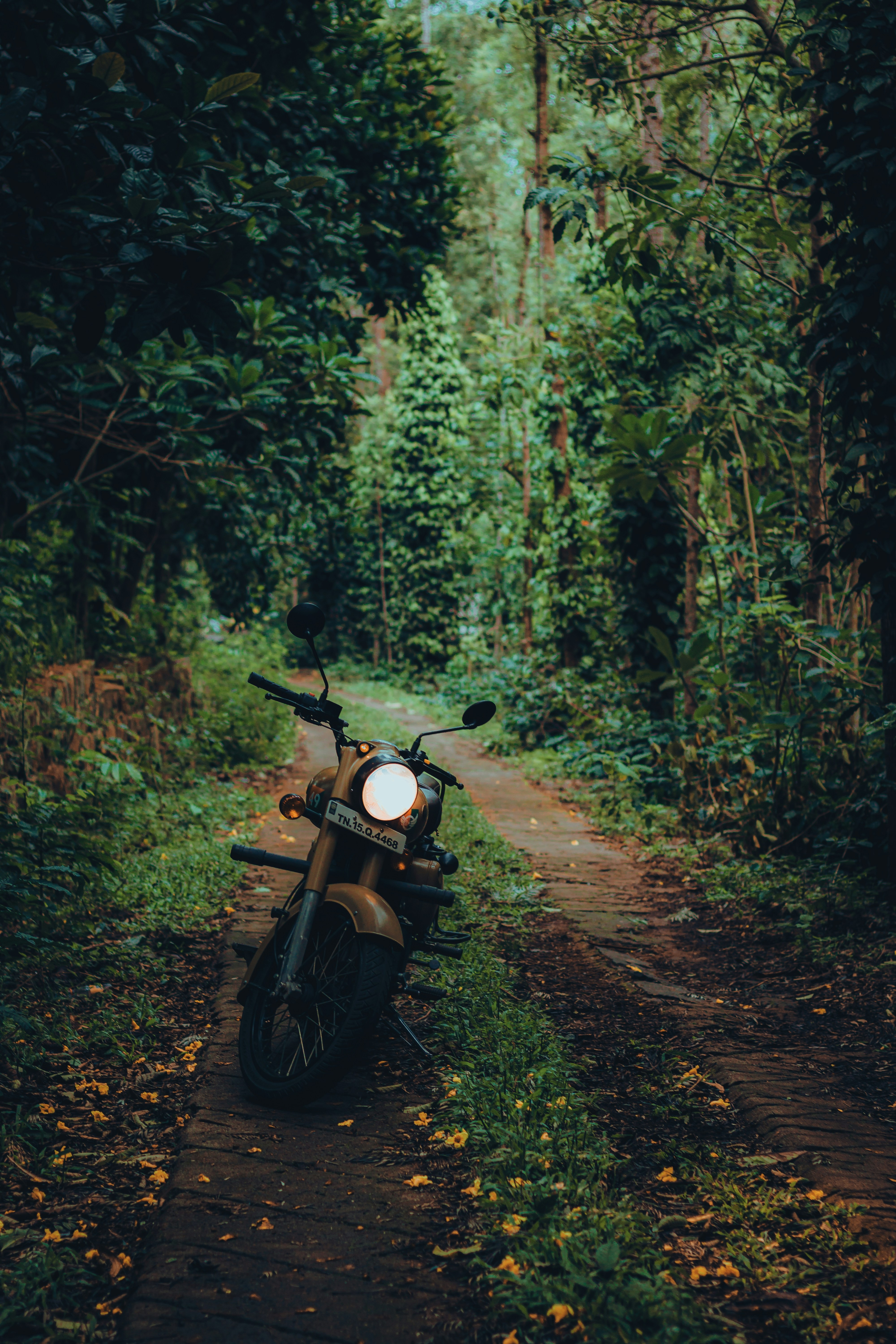 Photo by dhilipantony