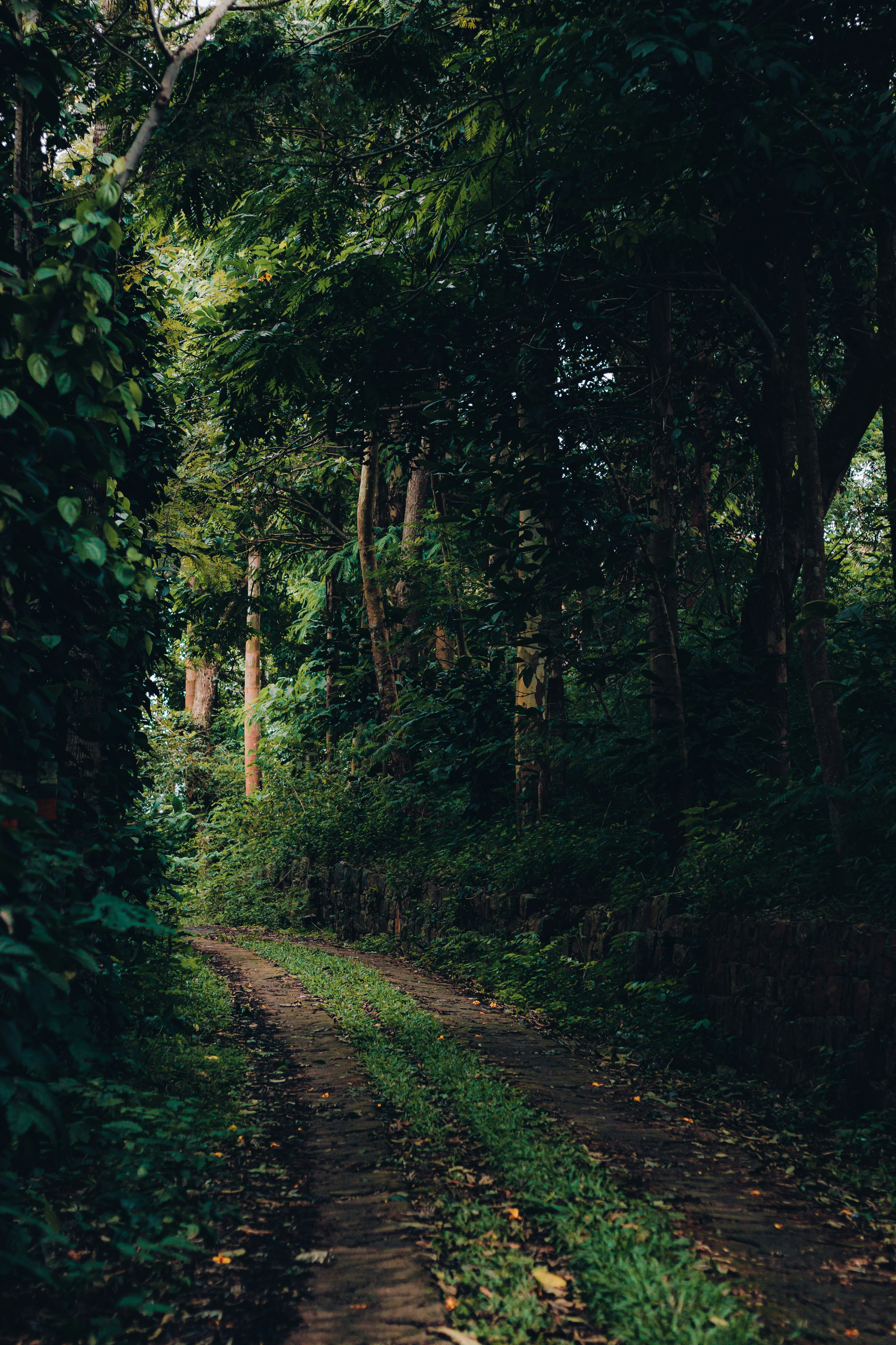 Photo by dhilipantony