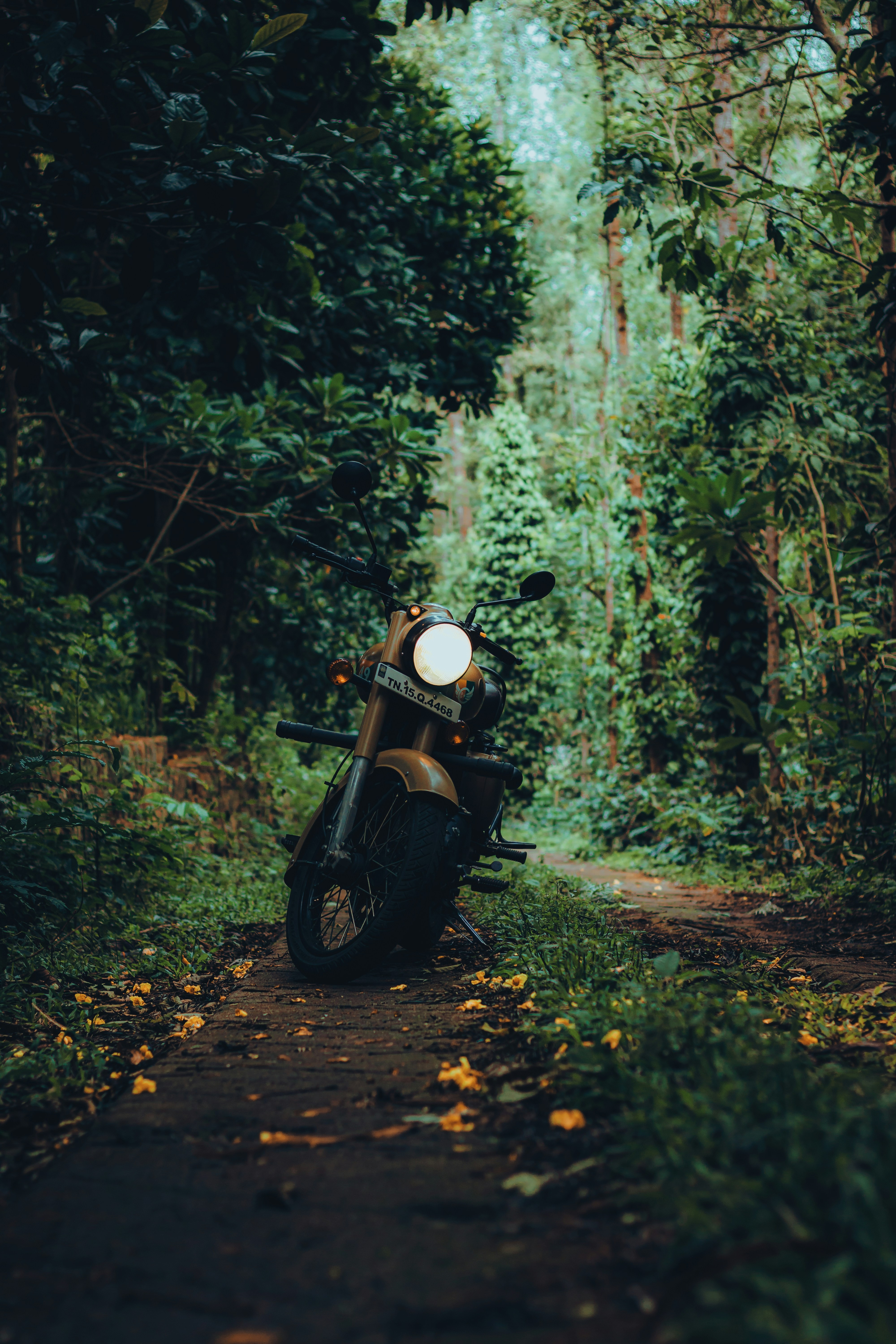 Photo by dhilipantony