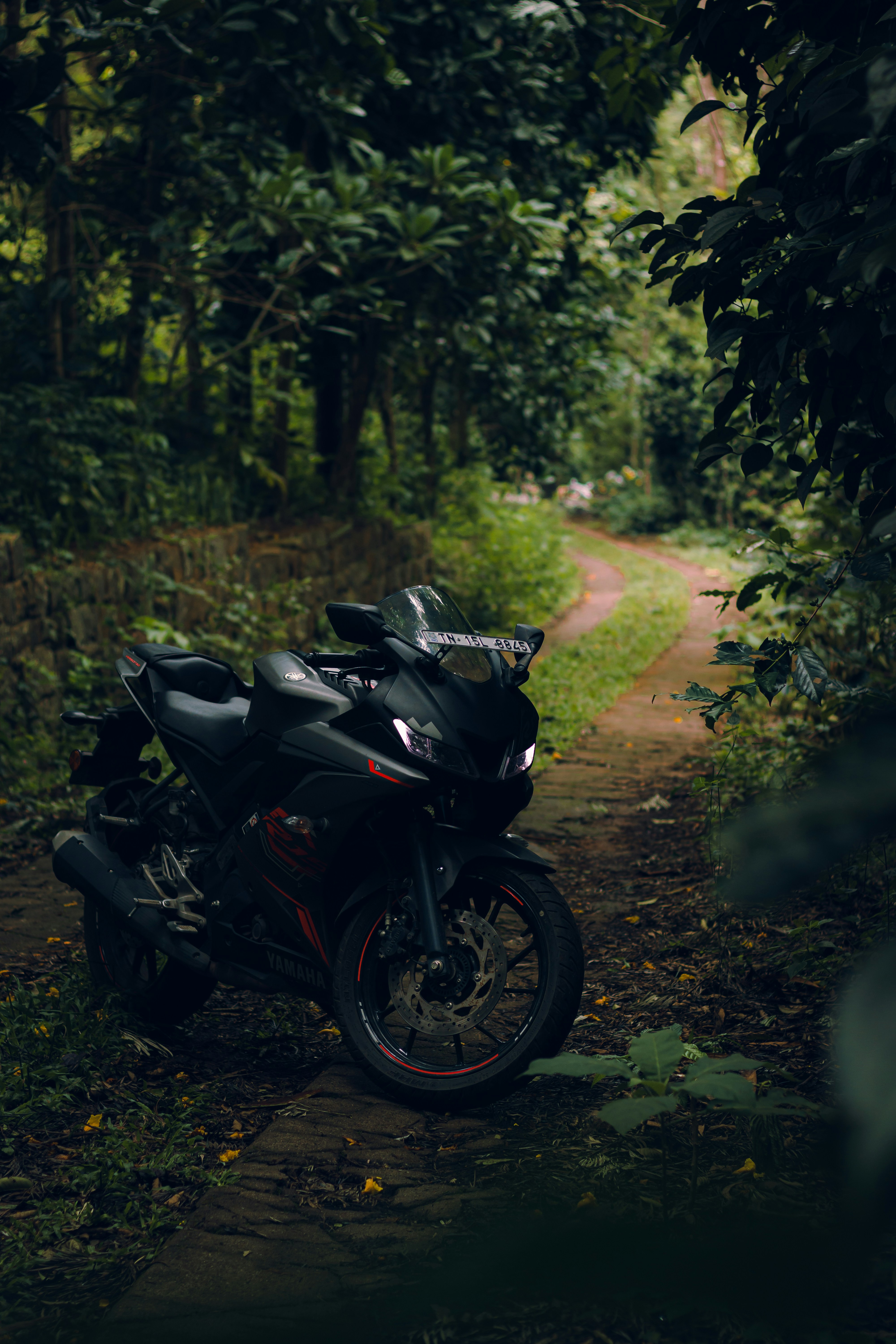 Photo by dhilipantony