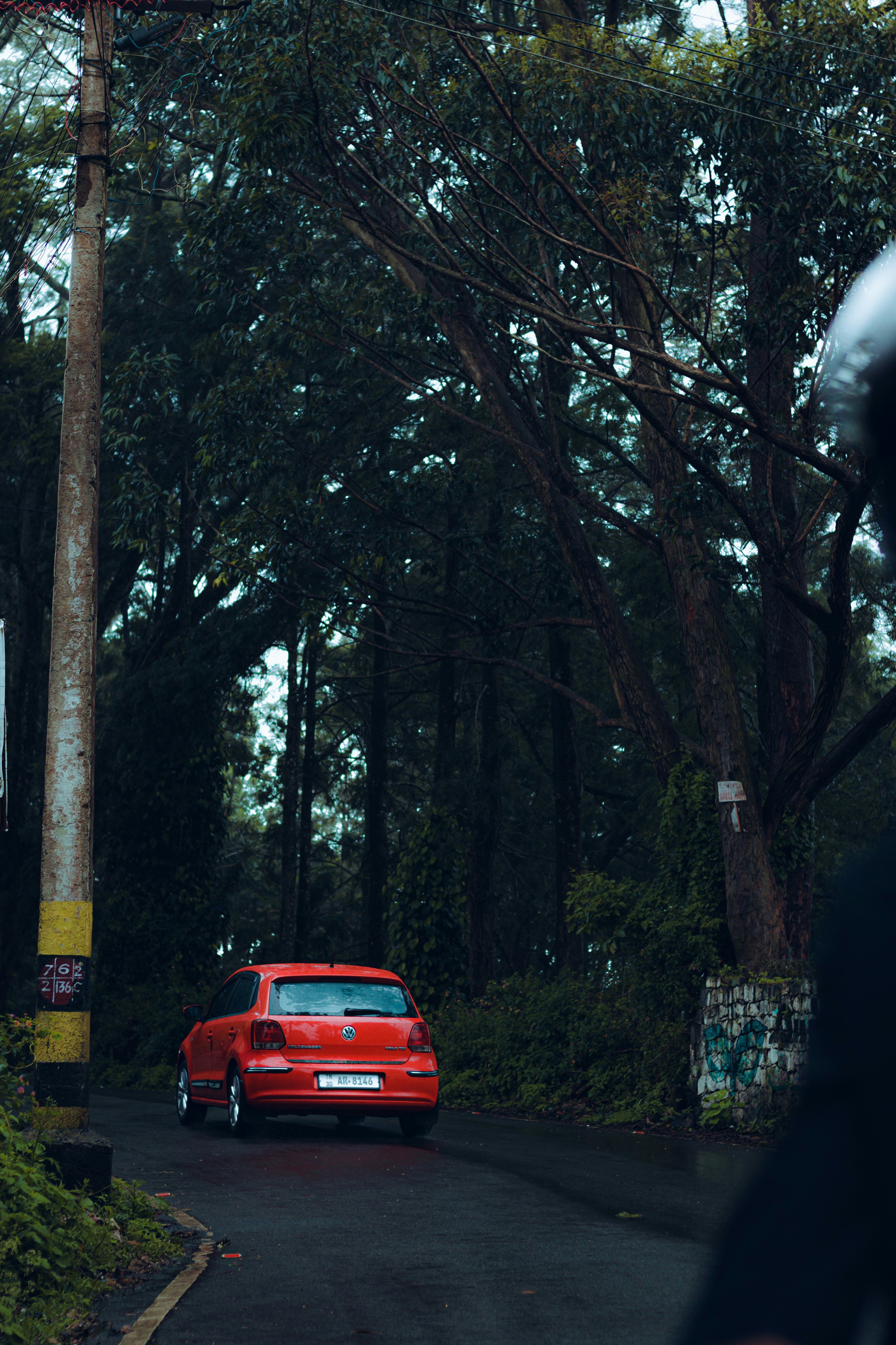 Photo by dhilipantony