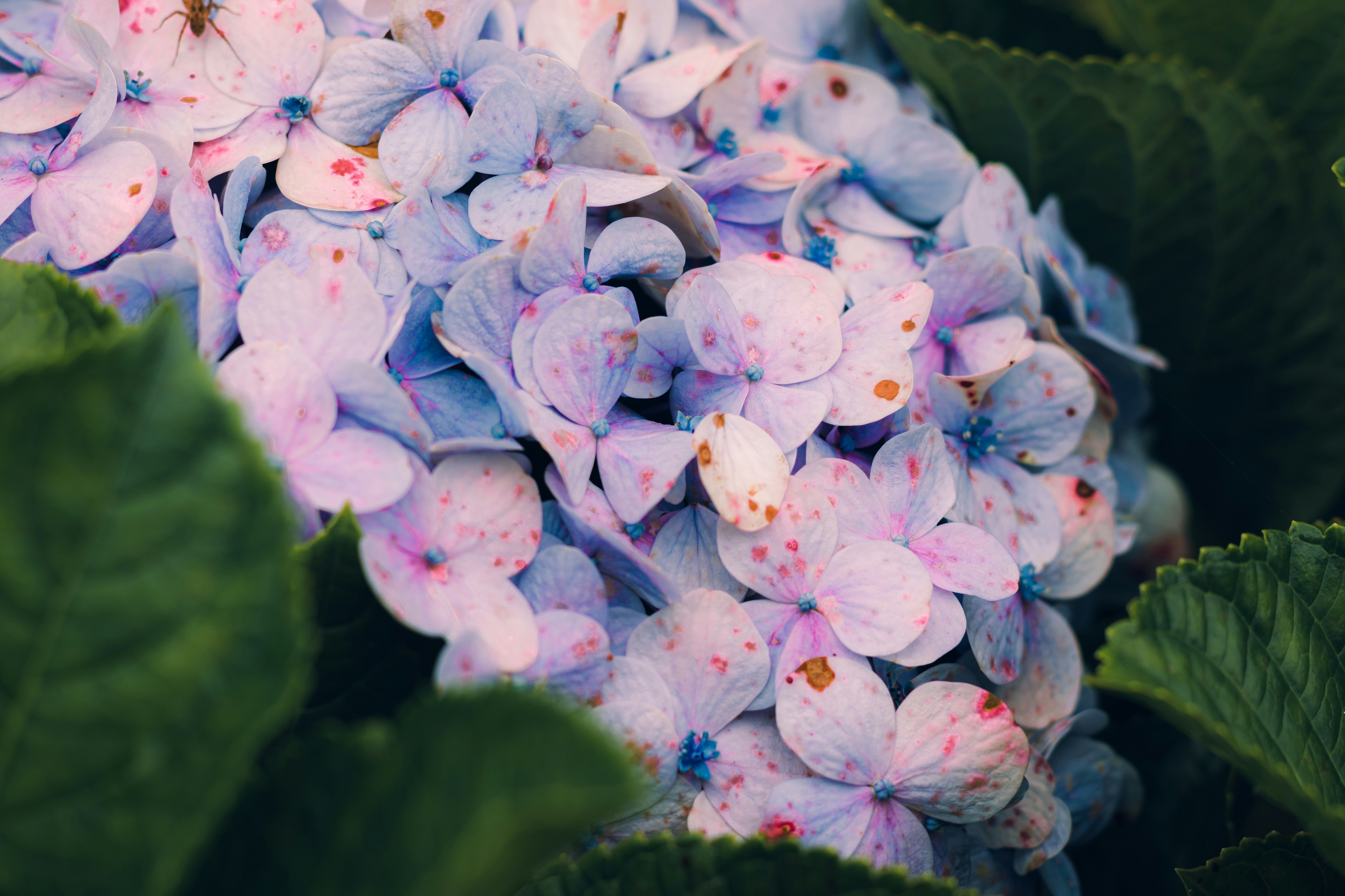 Photo by dhilipantony