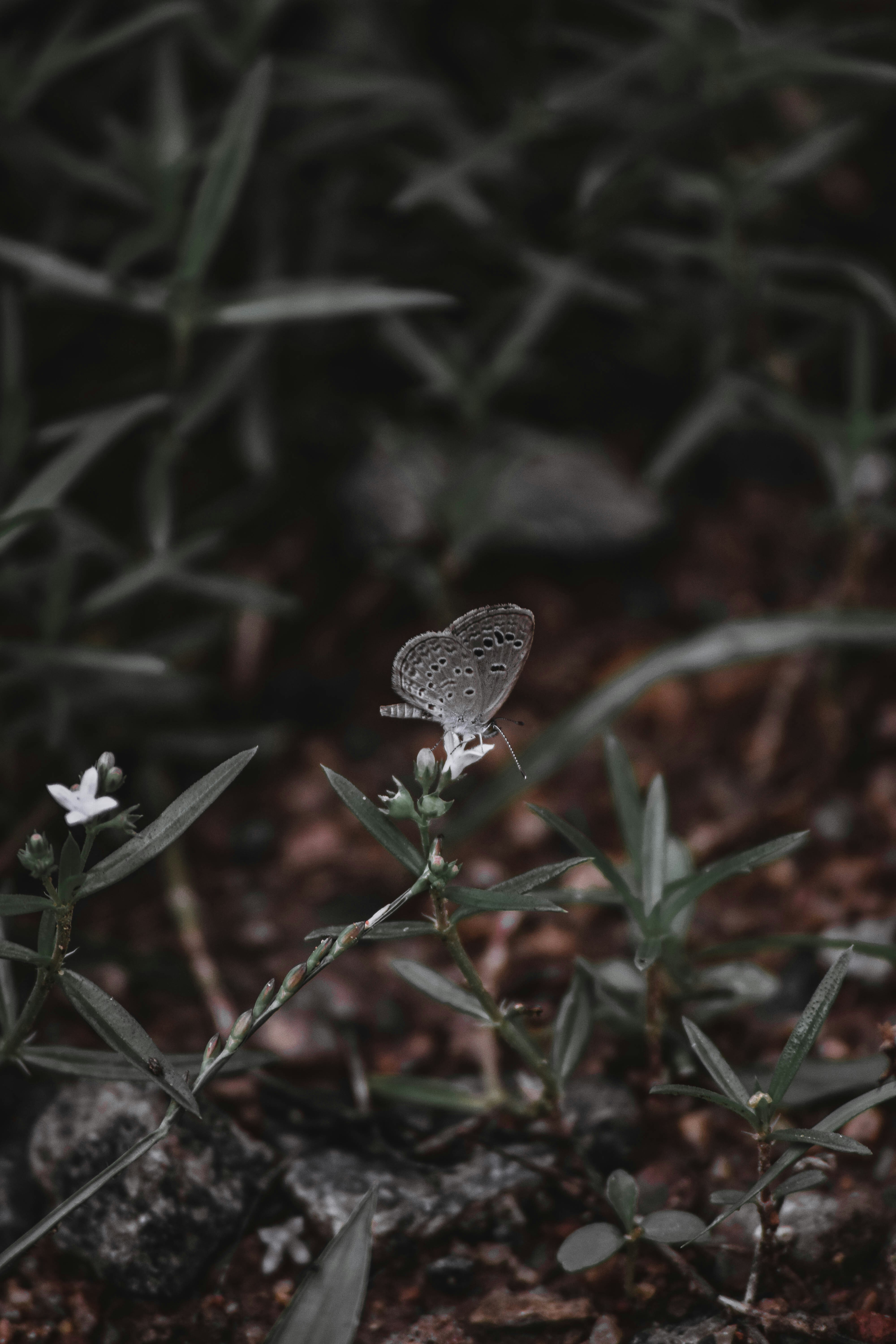 Photo by kamal_anand